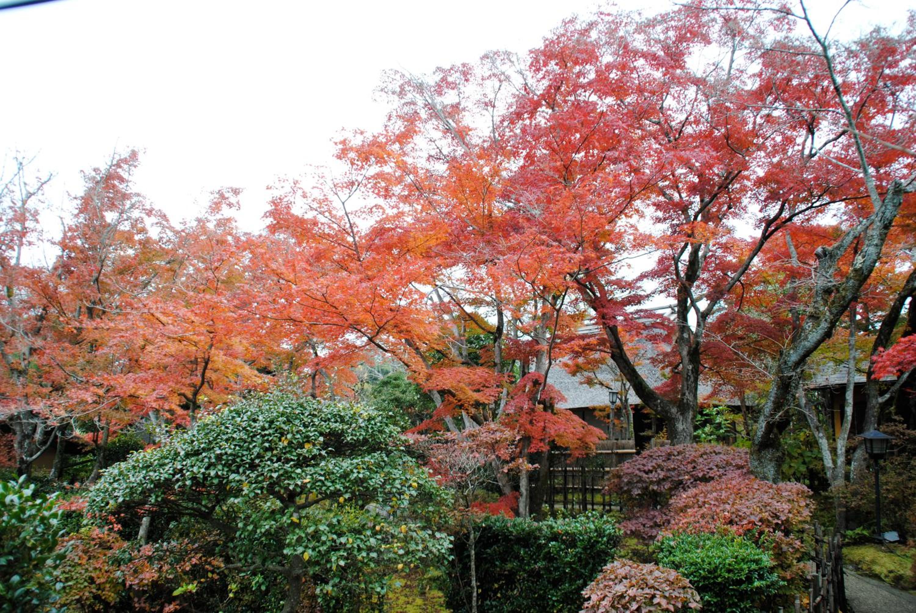 Nagataki