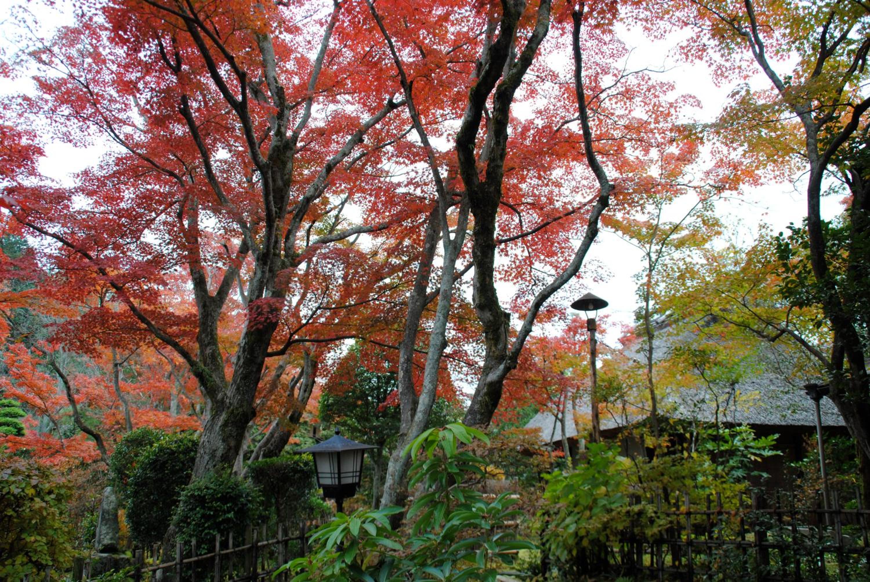 Nagataki