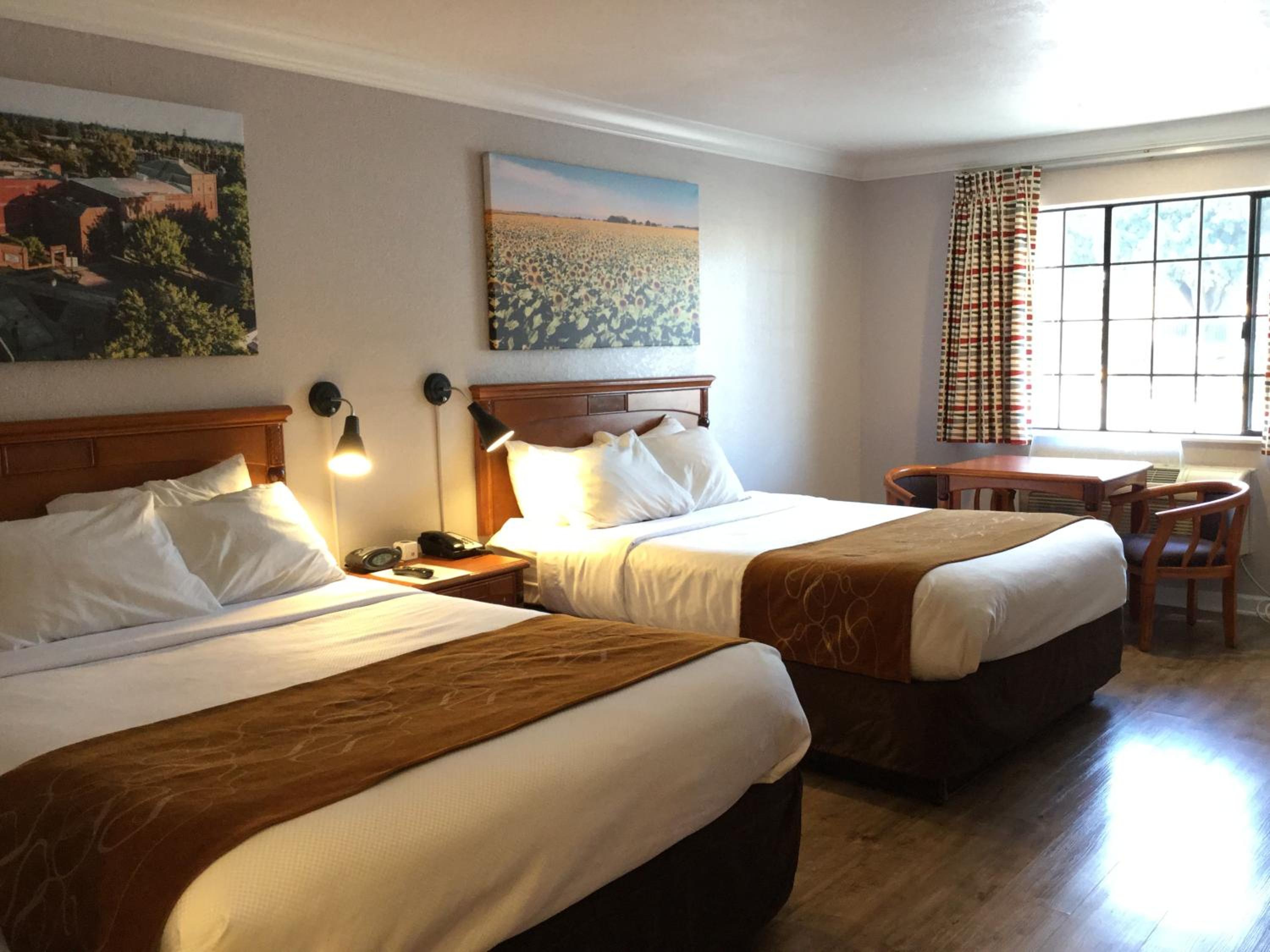 Journey Inn - Property Image 13