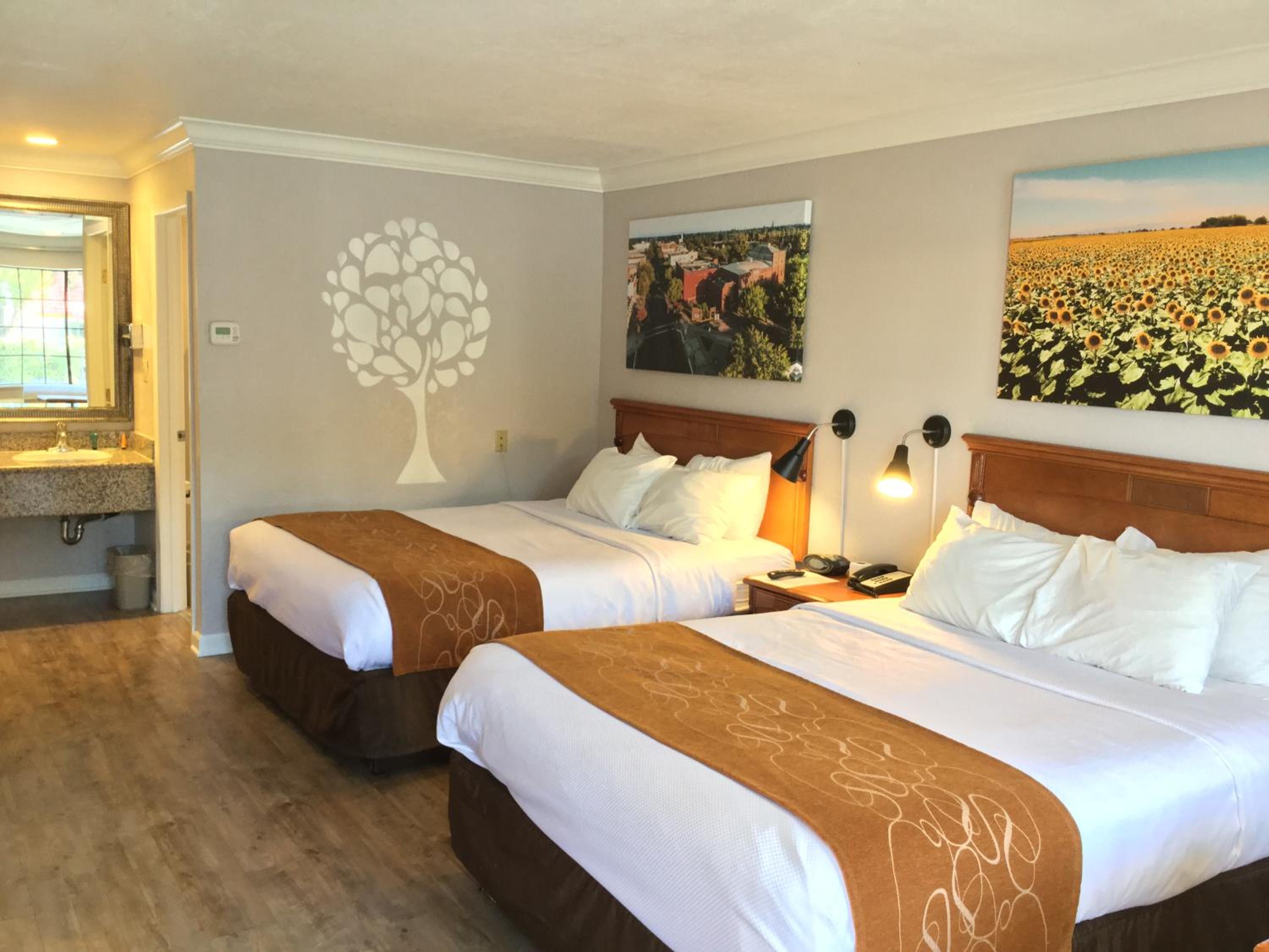 Journey Inn - Property Image 14