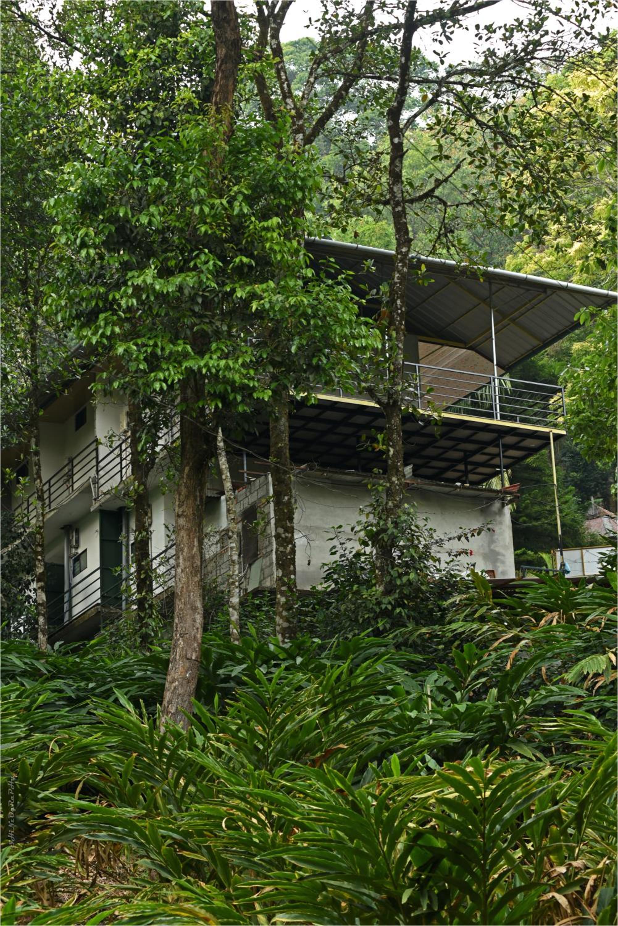 Spice Jungle Resort