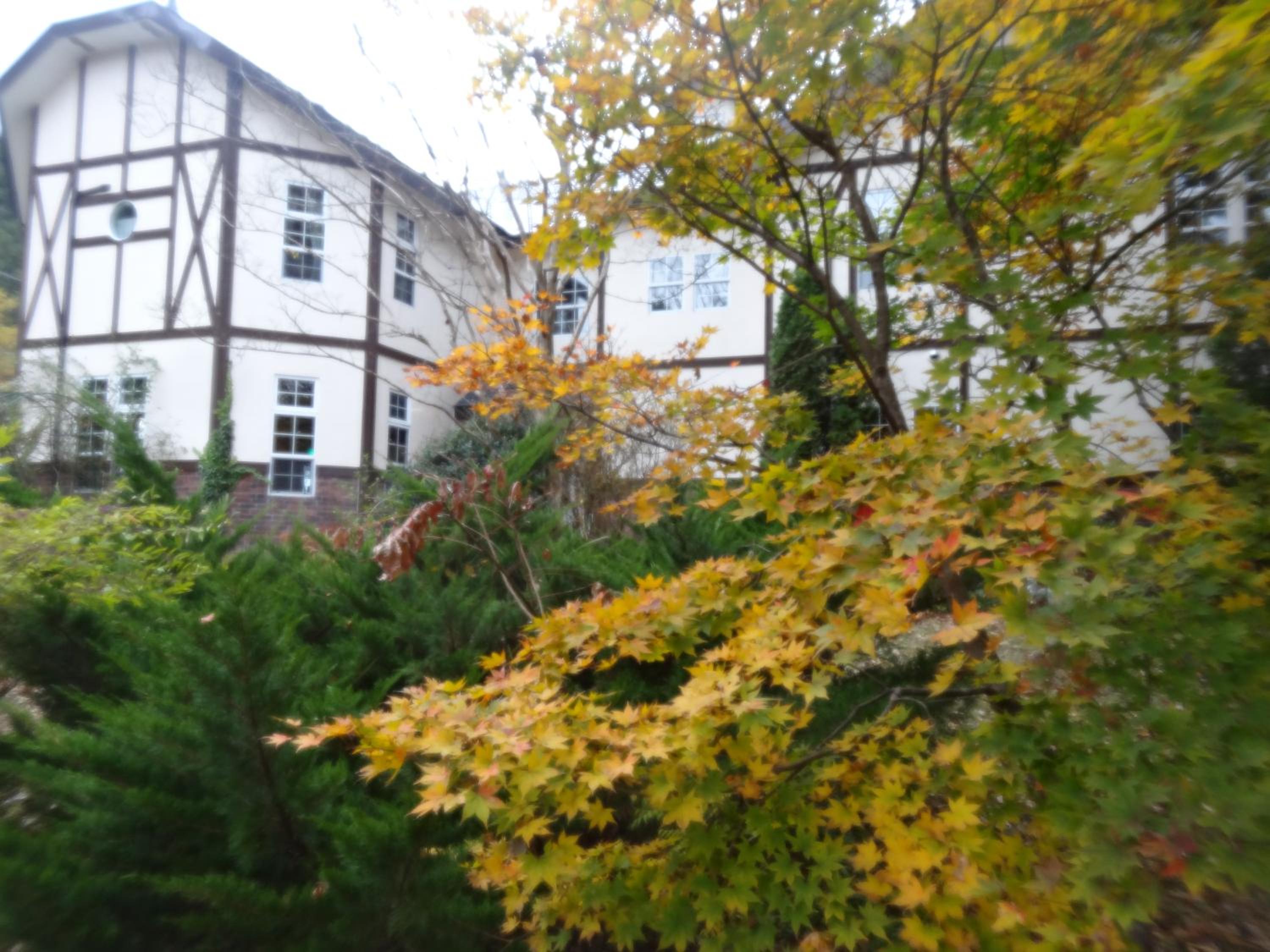 Gasthof Arutany
