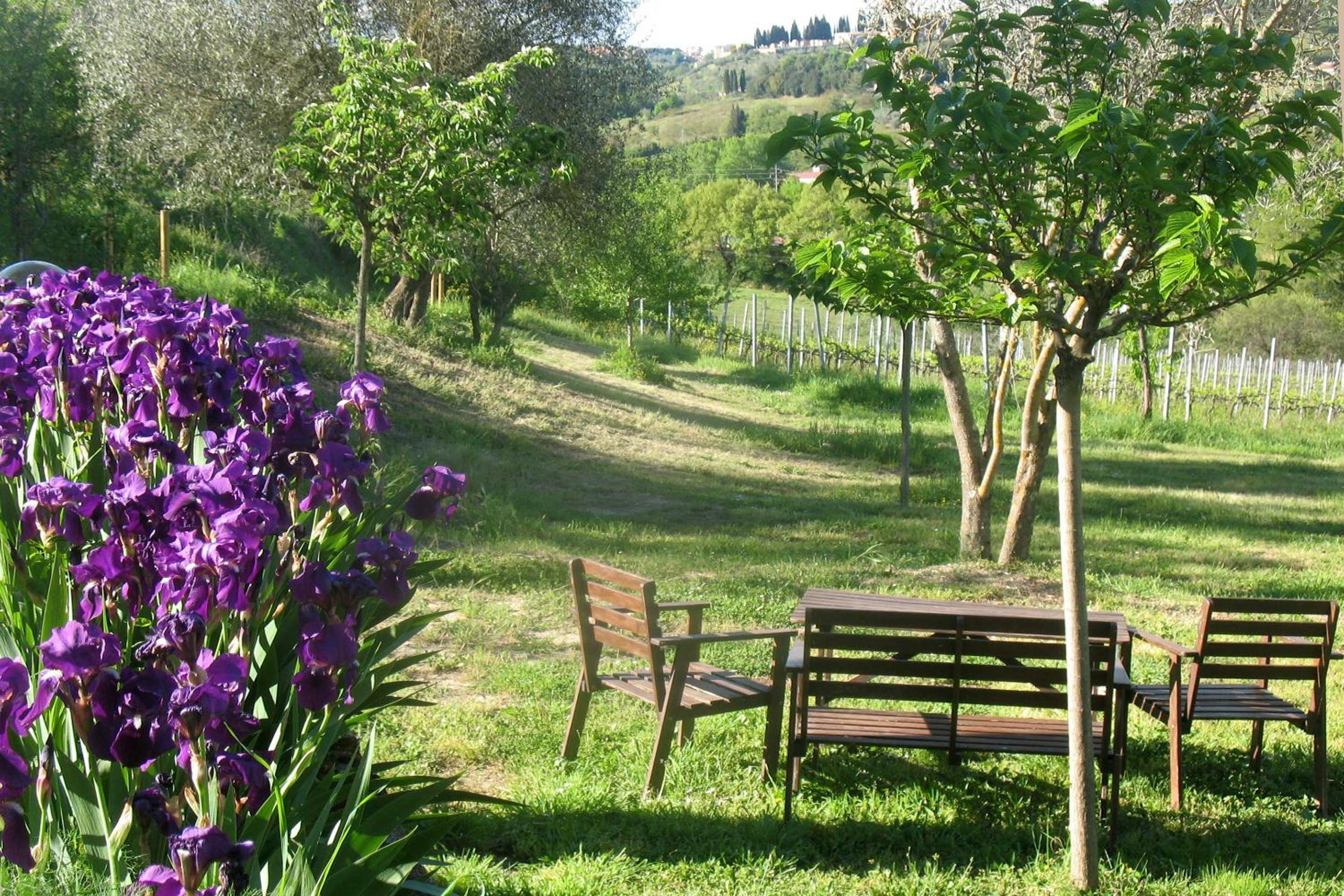 Agriturismo La Torretta