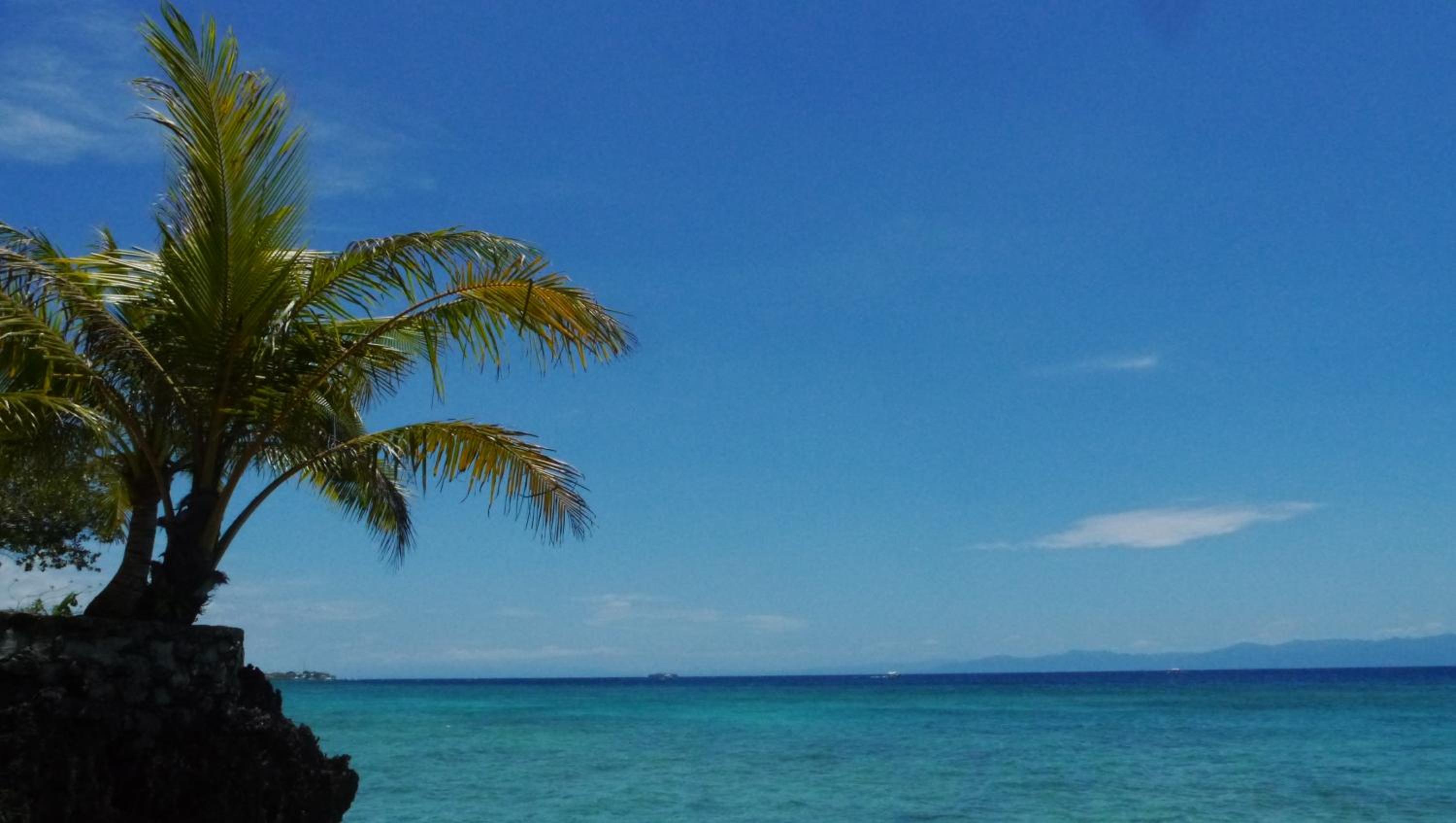 Moalboal T Breeze Coastal Resort