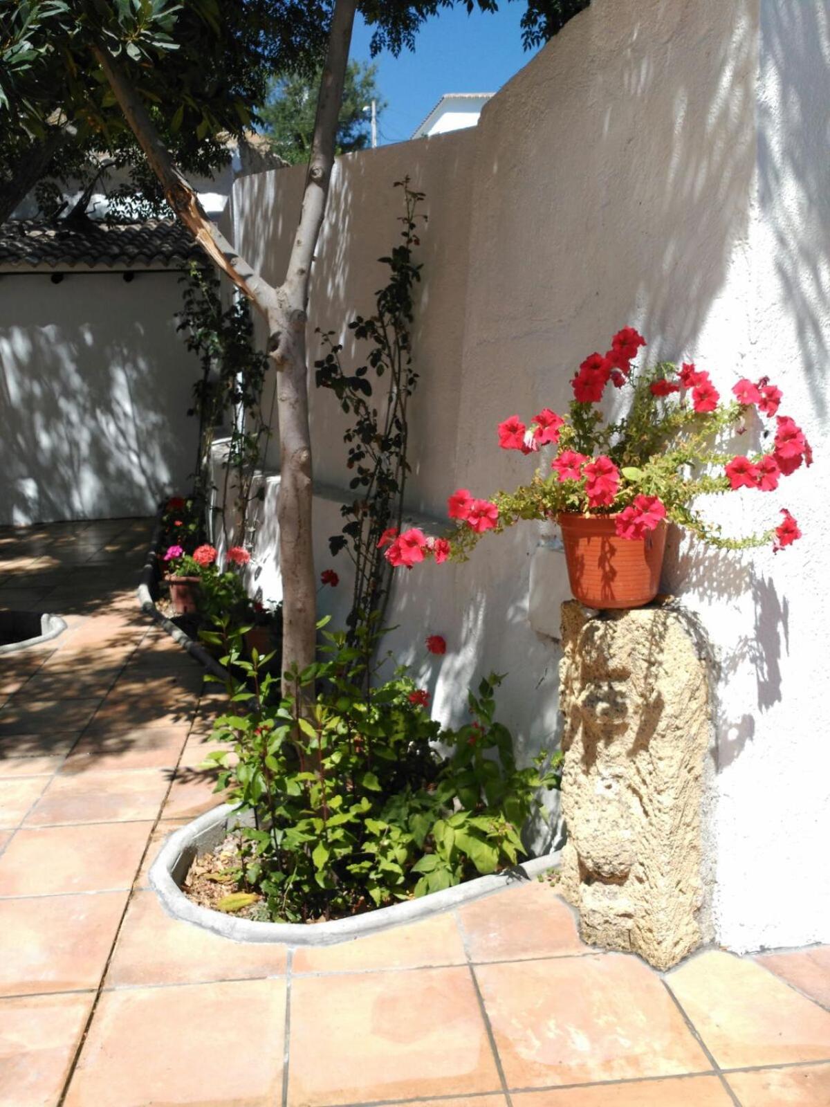 Photo 45