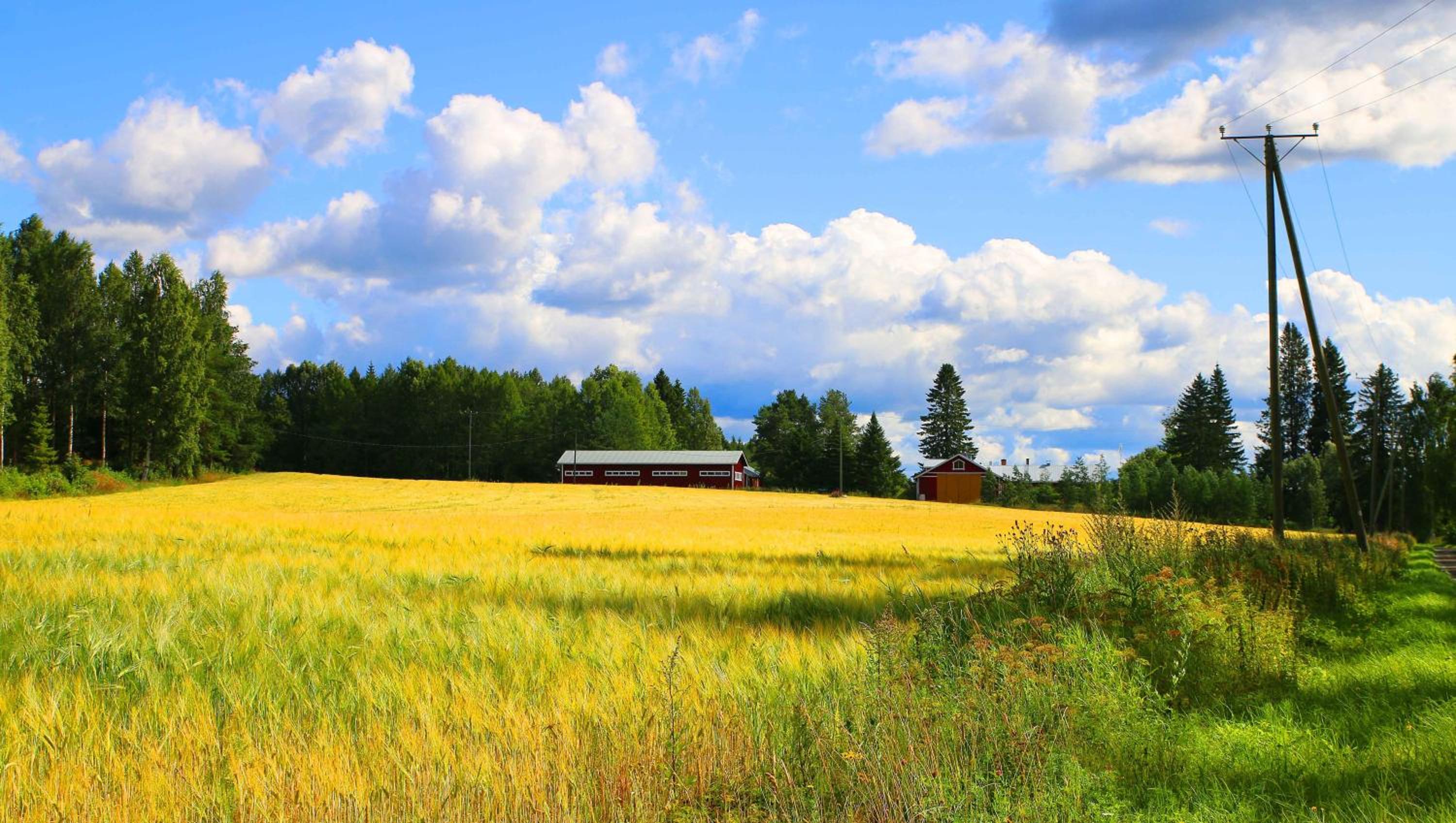 Loikansaari Lomamökit Holiday Cottages