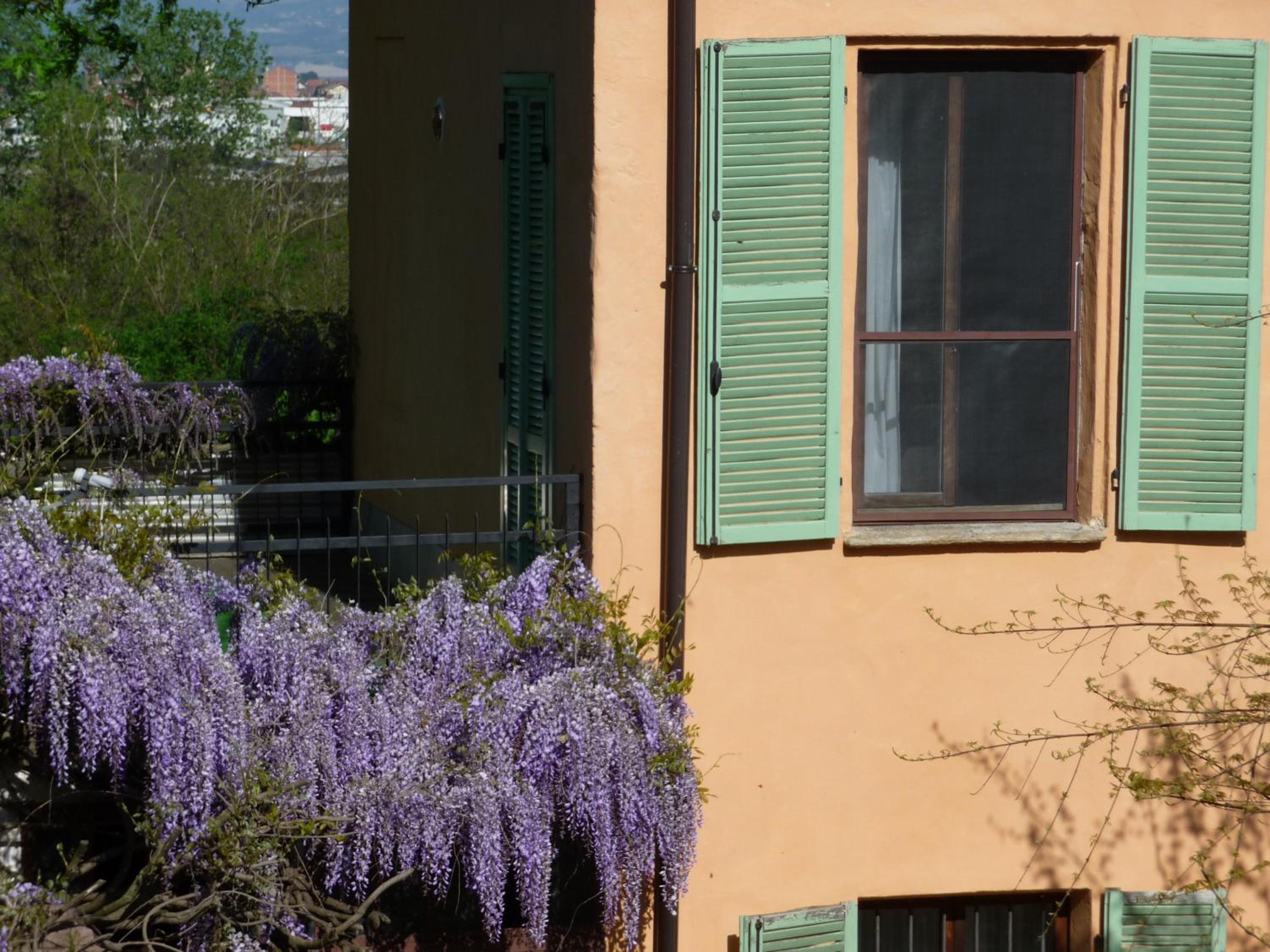 B&B Selisa view 3