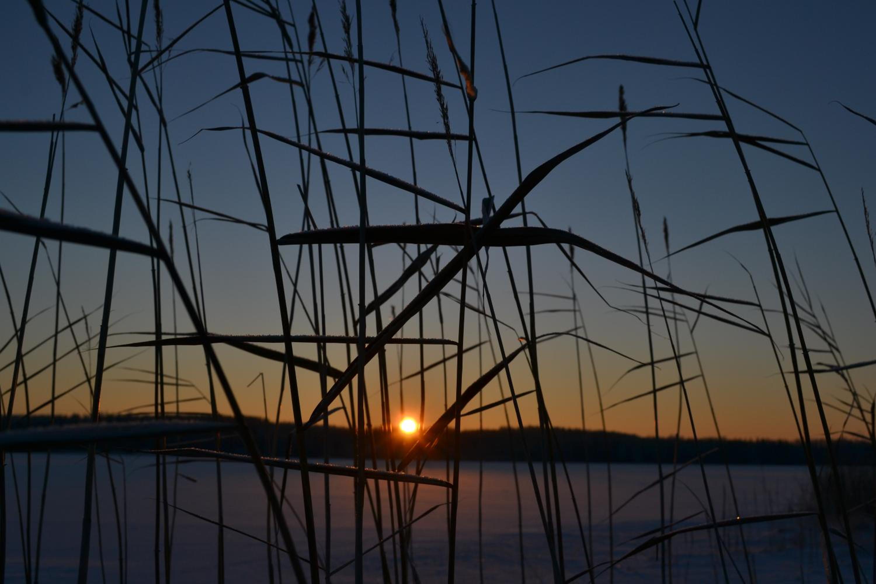 Loikansaari Lomamökit Holiday Cottages