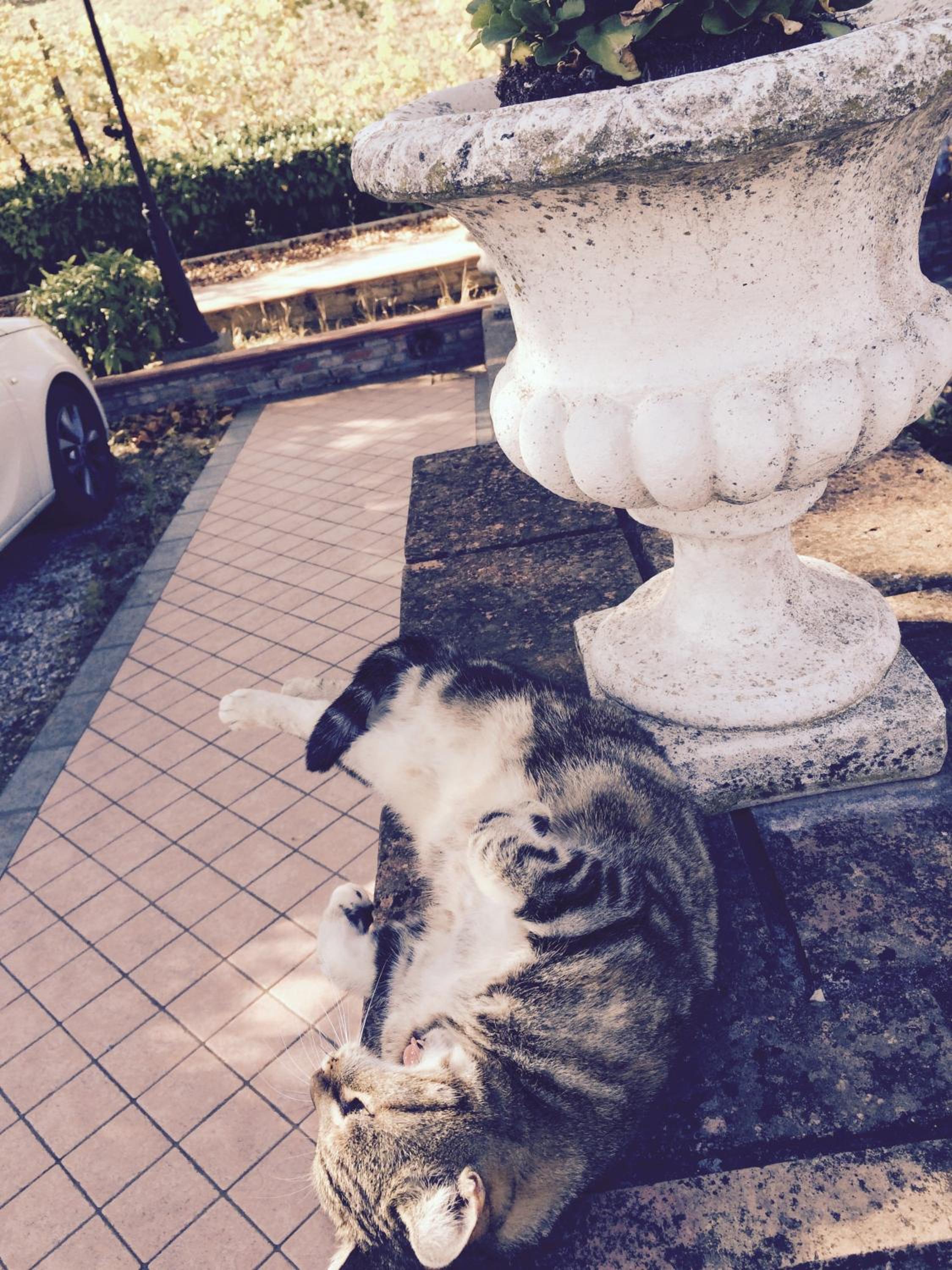Photo 33