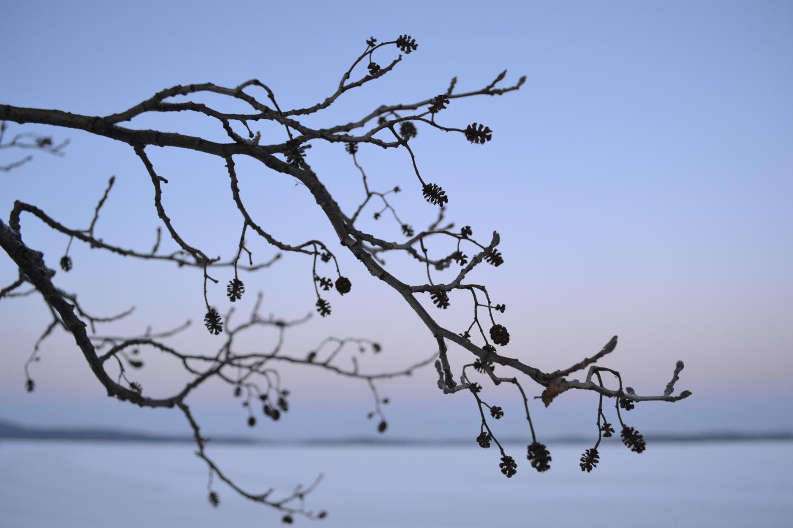 Loikansaari Lomamökit Holiday Cottages