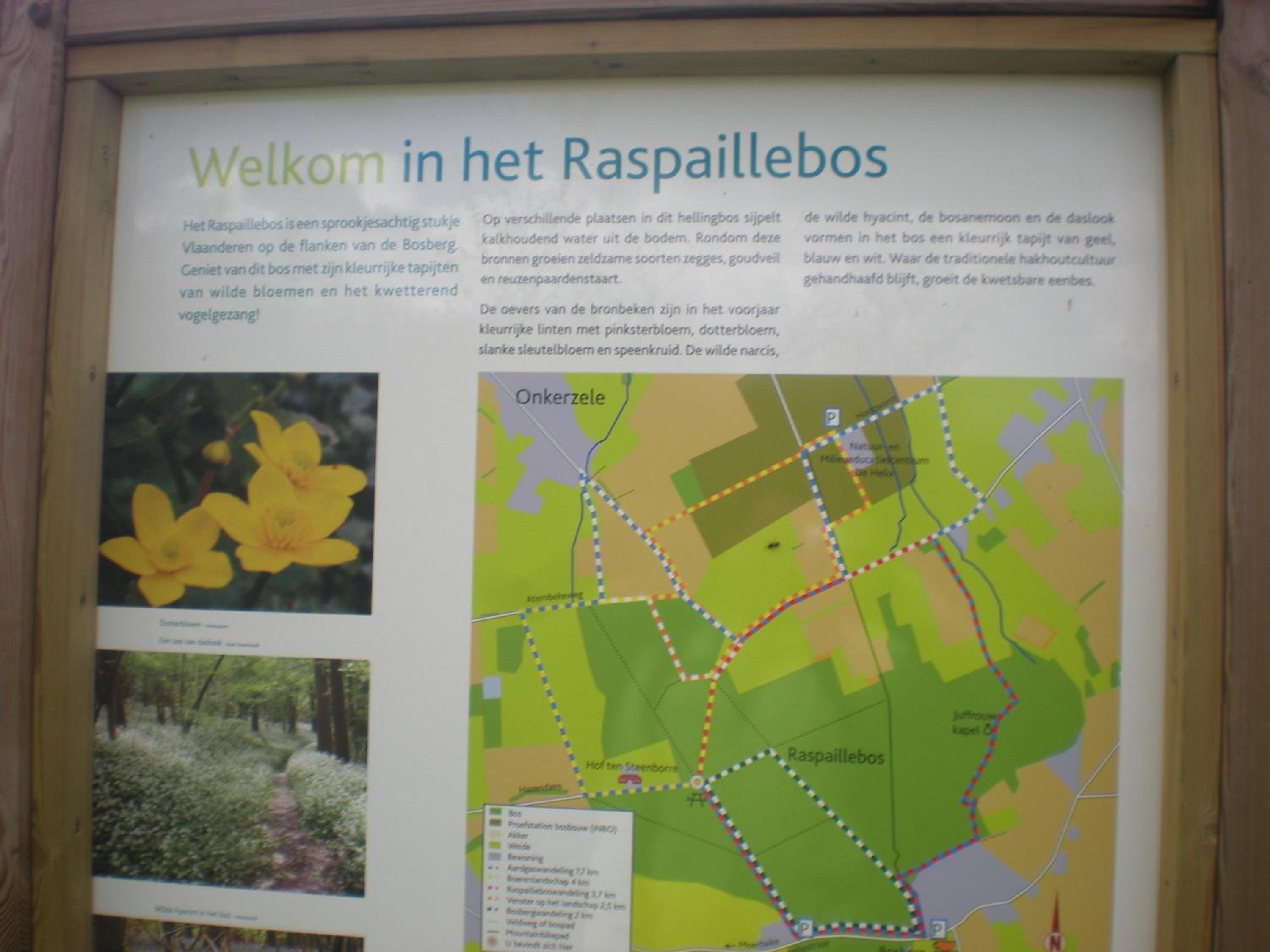 Vakantiewoning Hakuna Matata