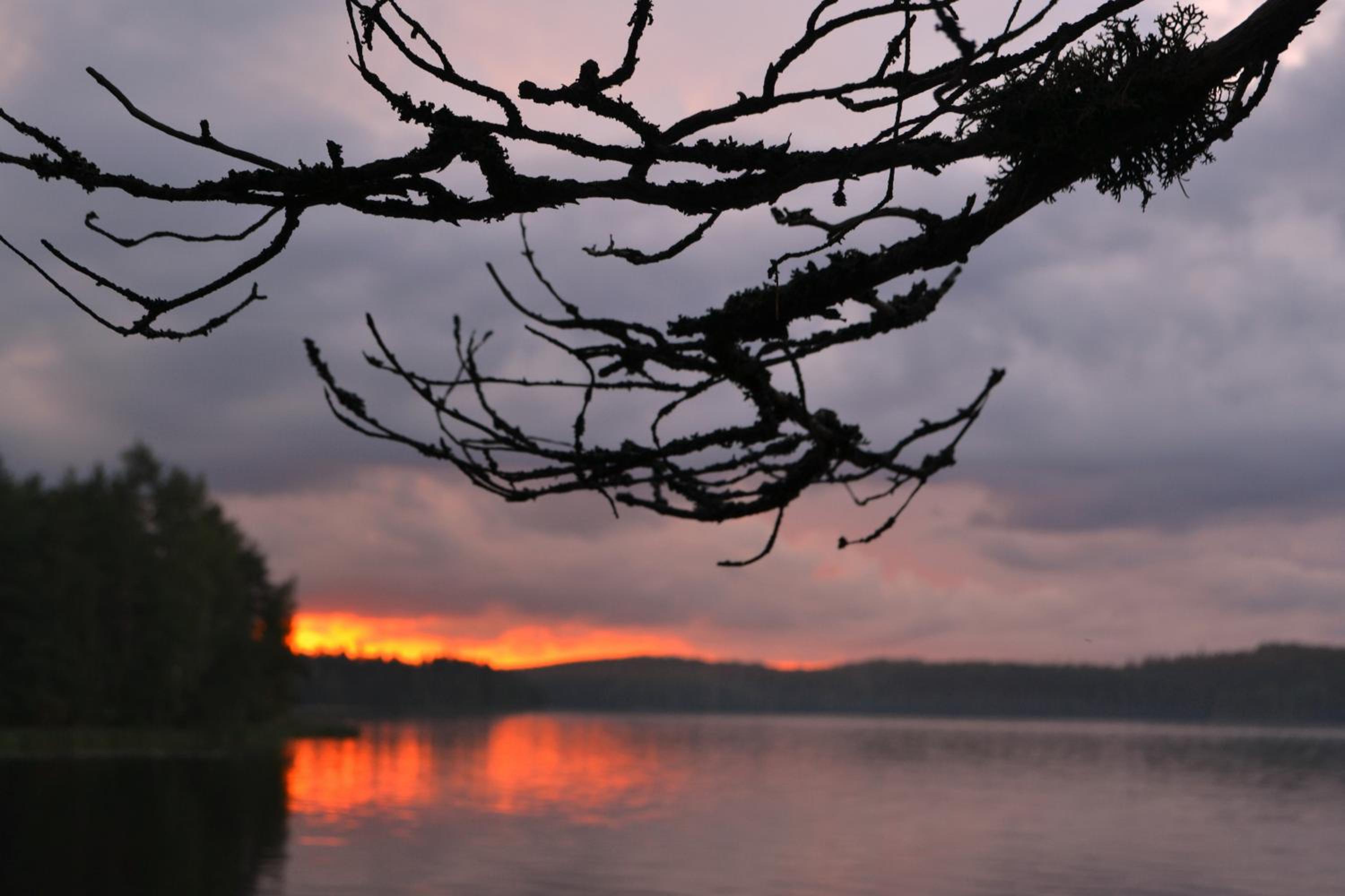 Loikansaari Lomamökit Holiday Cottages