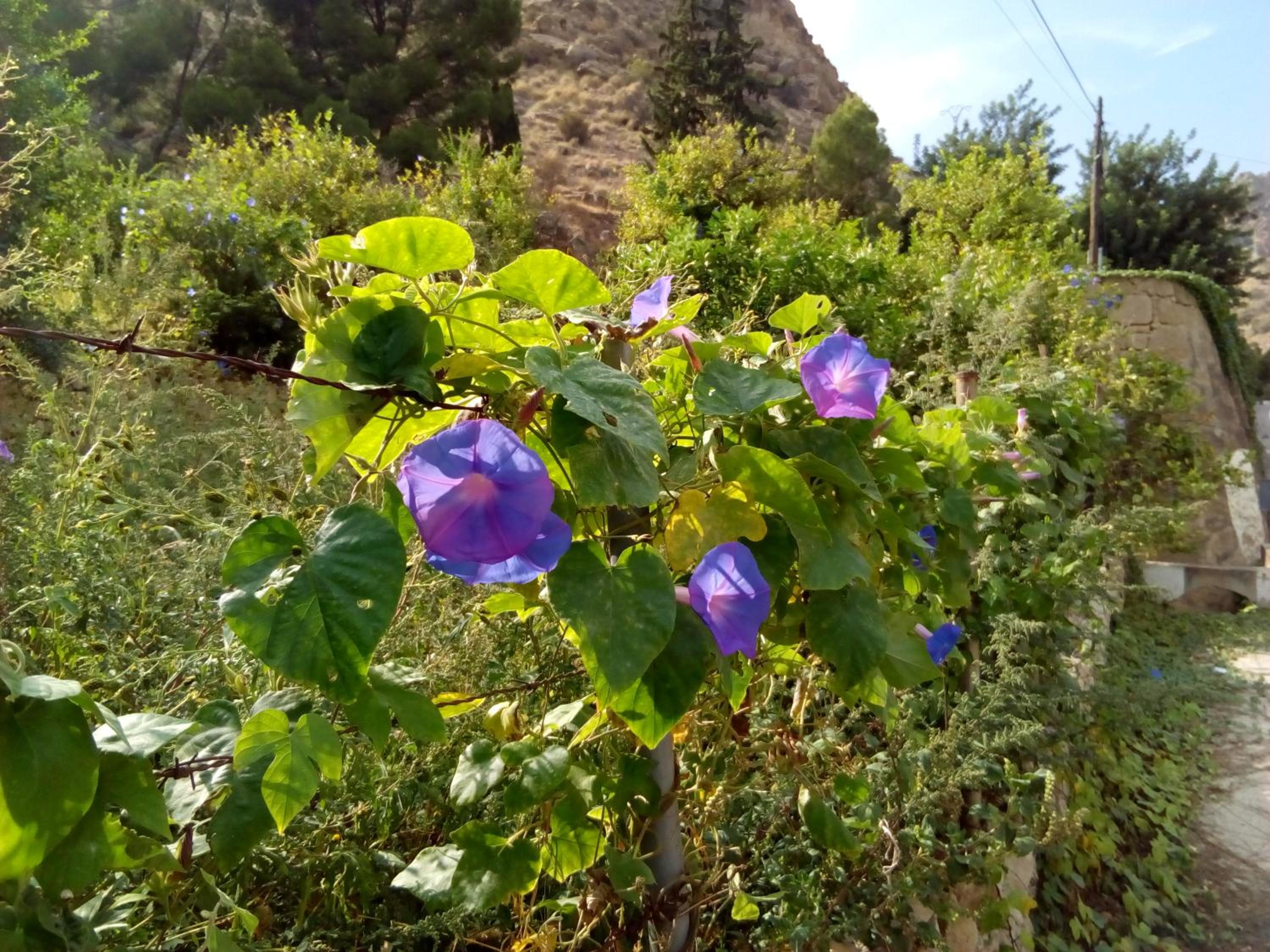 Photo 20
