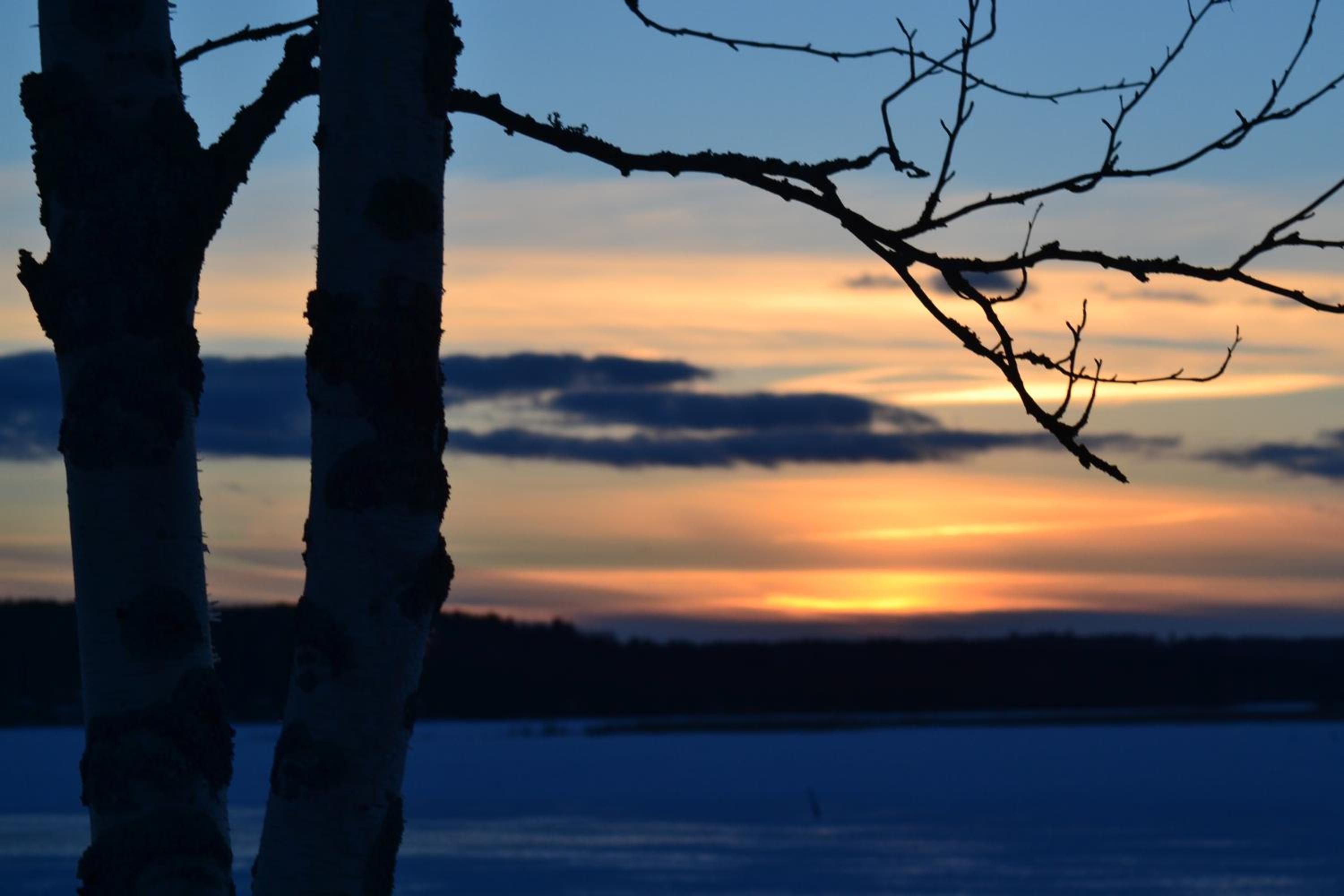 Loikansaari Lomamökit Holiday Cottages