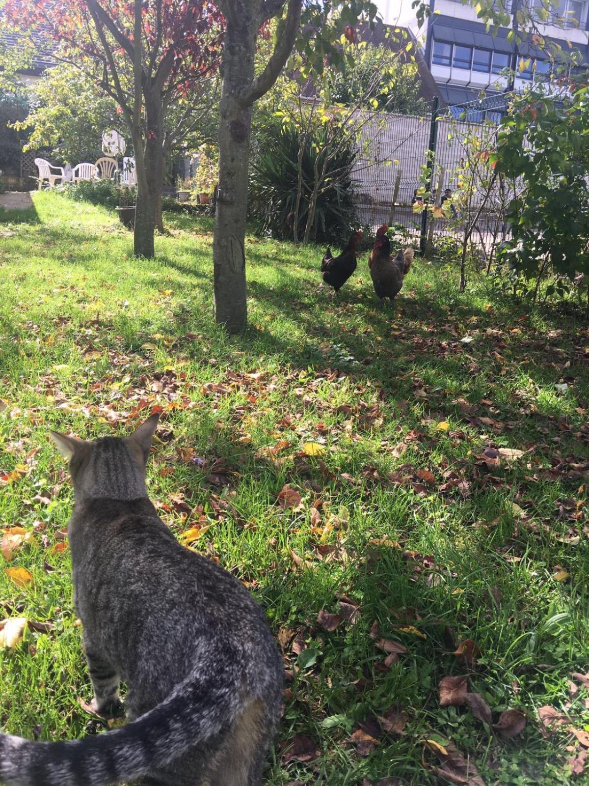 Photo 8