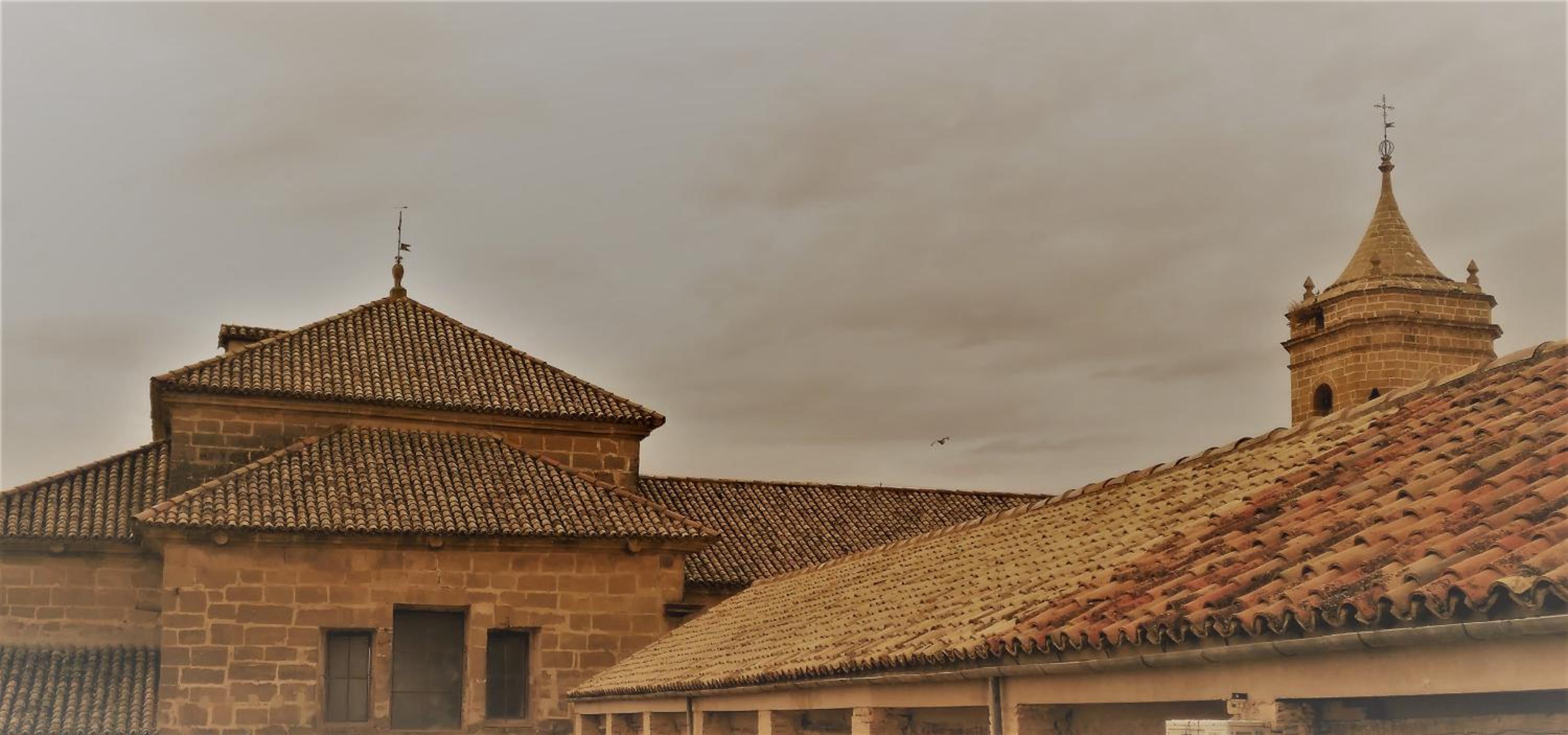 Vivienda Turistica Bufer view 3