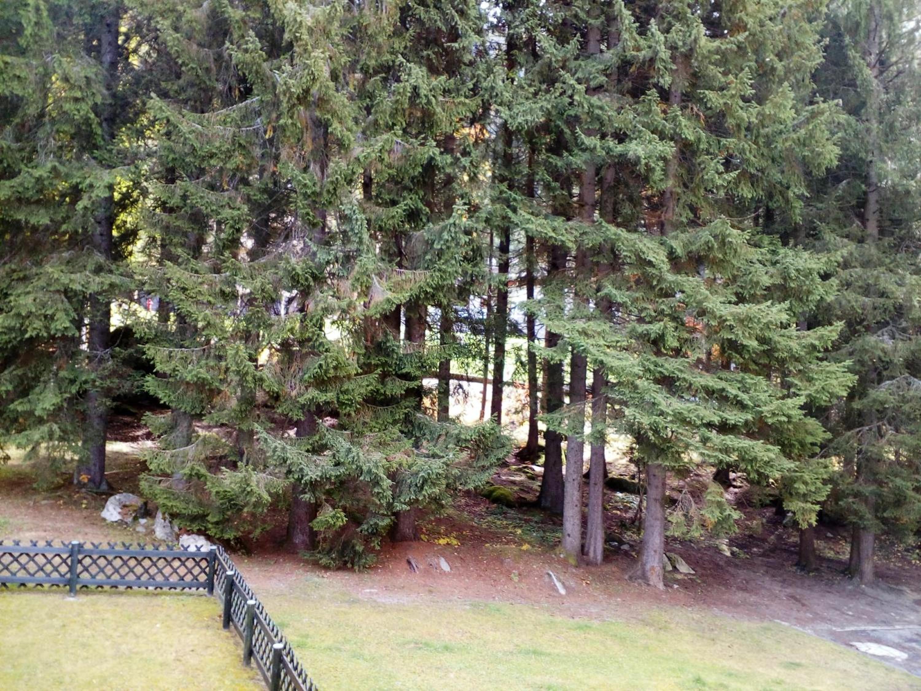 Residenza Silvana