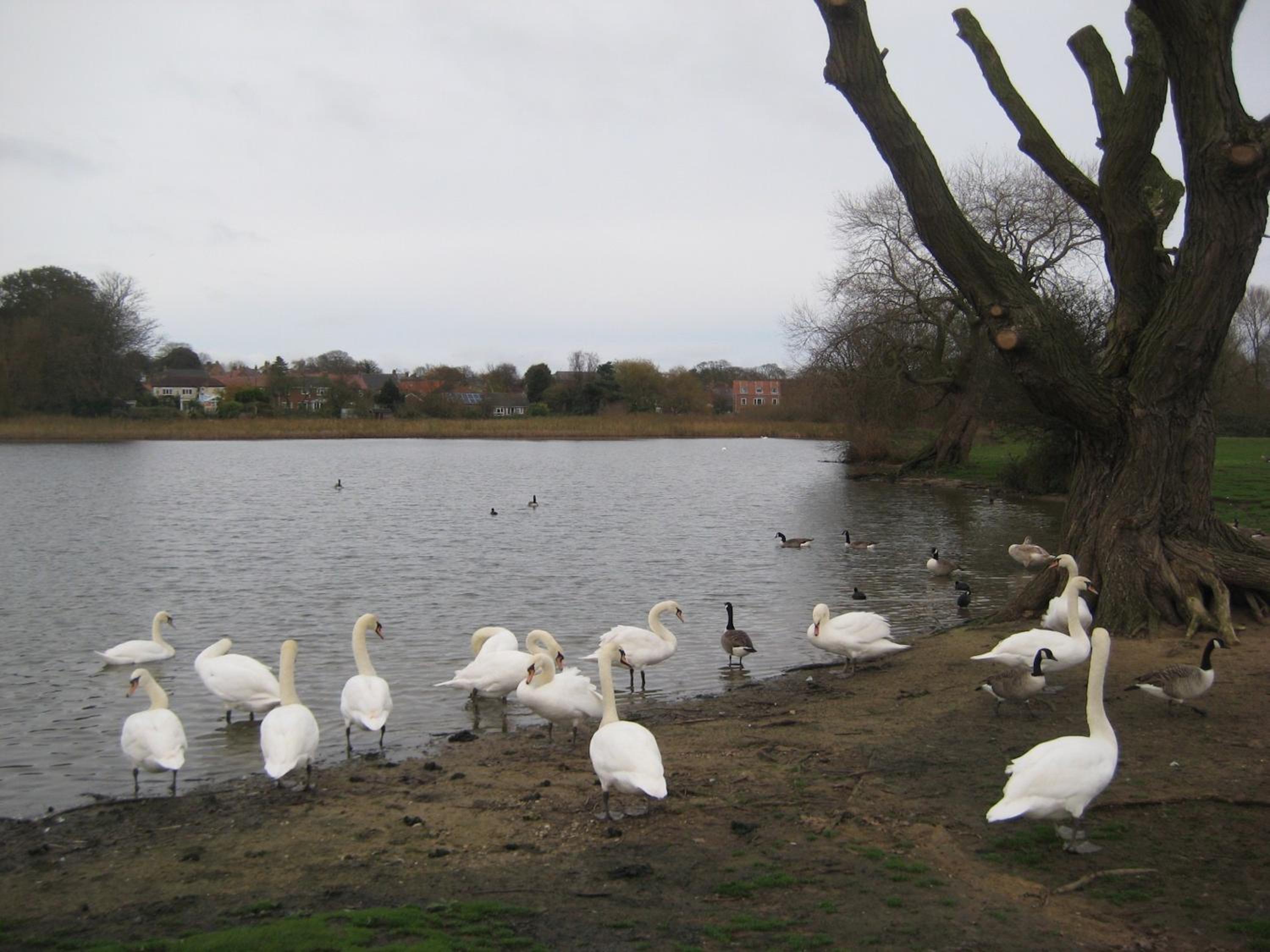 Photo 21