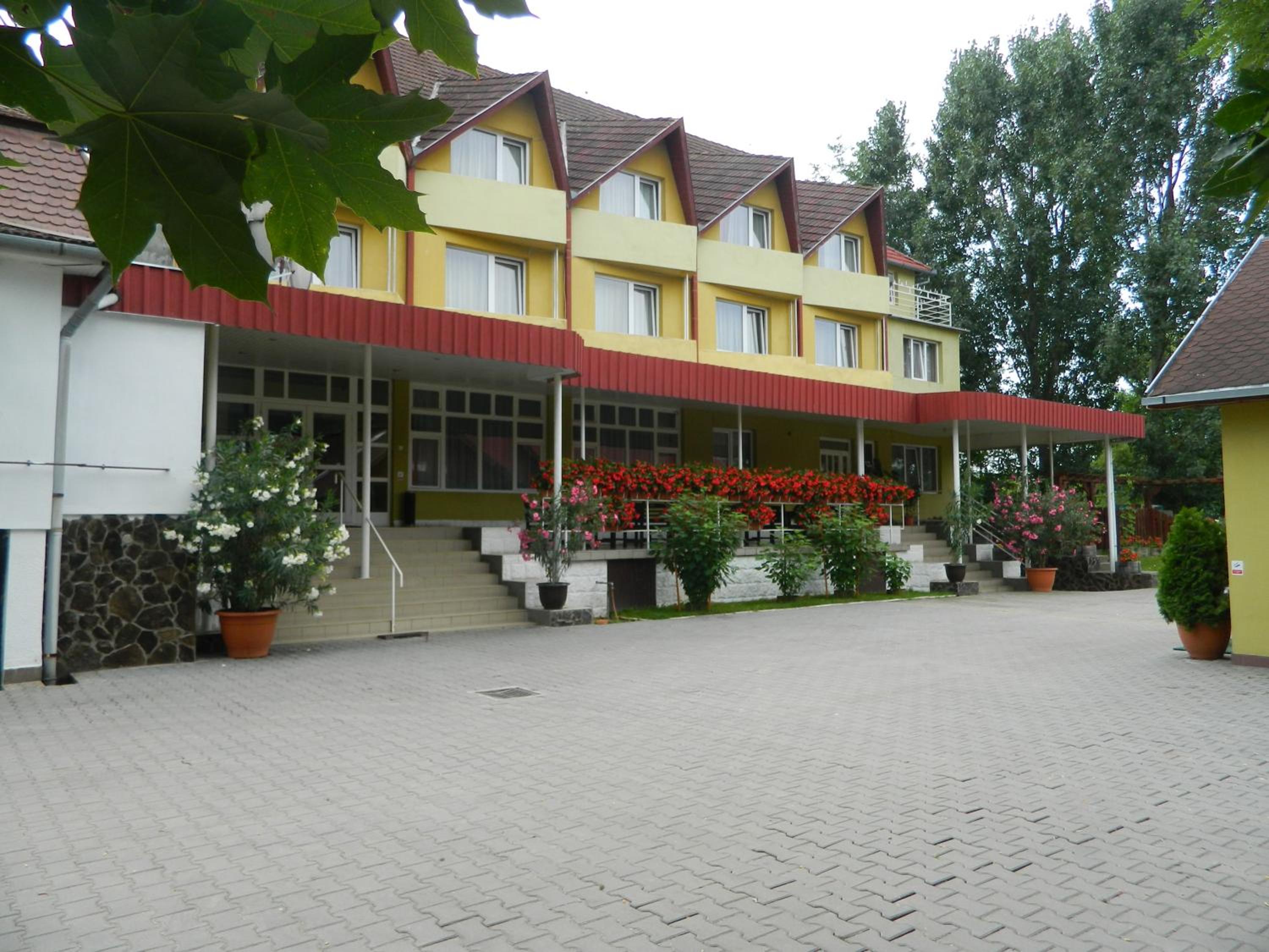 Pensiunea Grandlion view 2