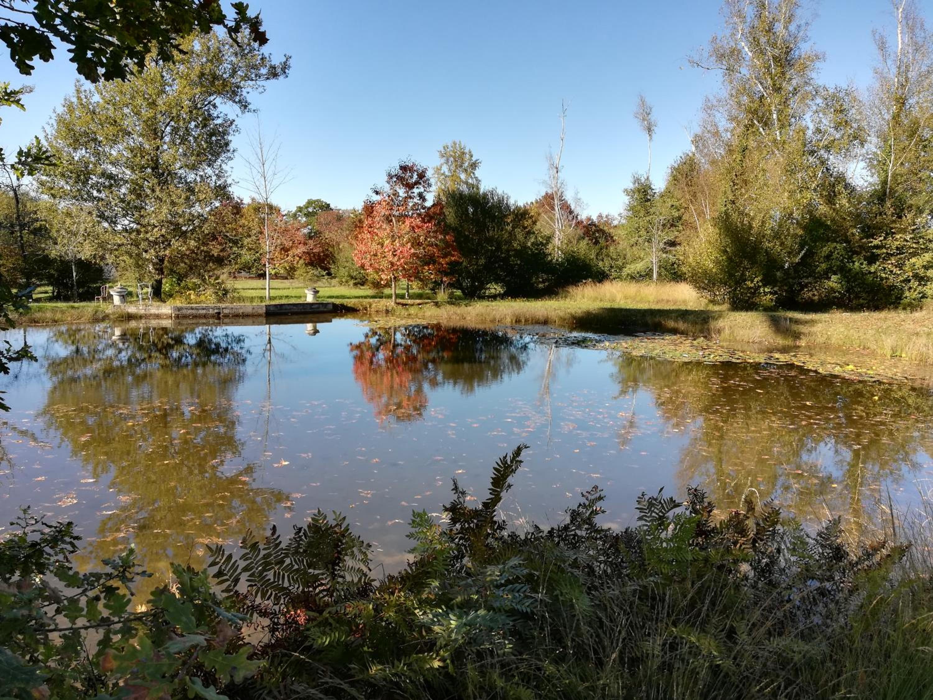 Photo 20