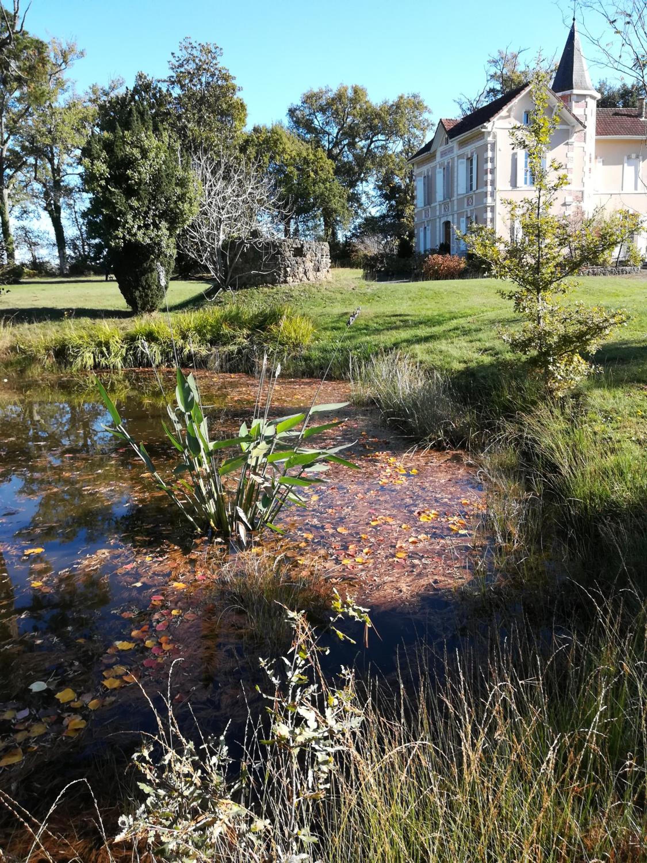 Photo 21