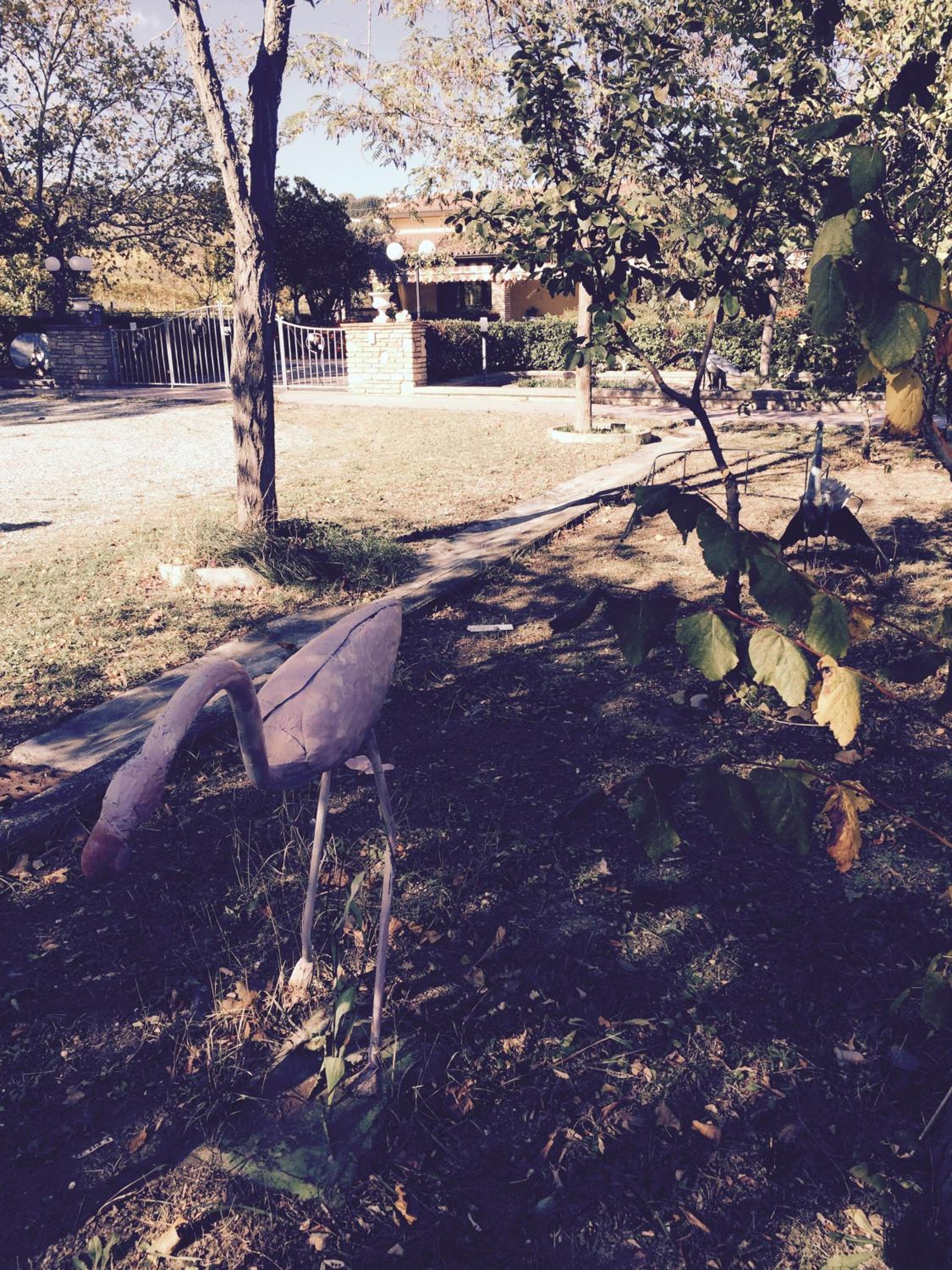 Photo 29