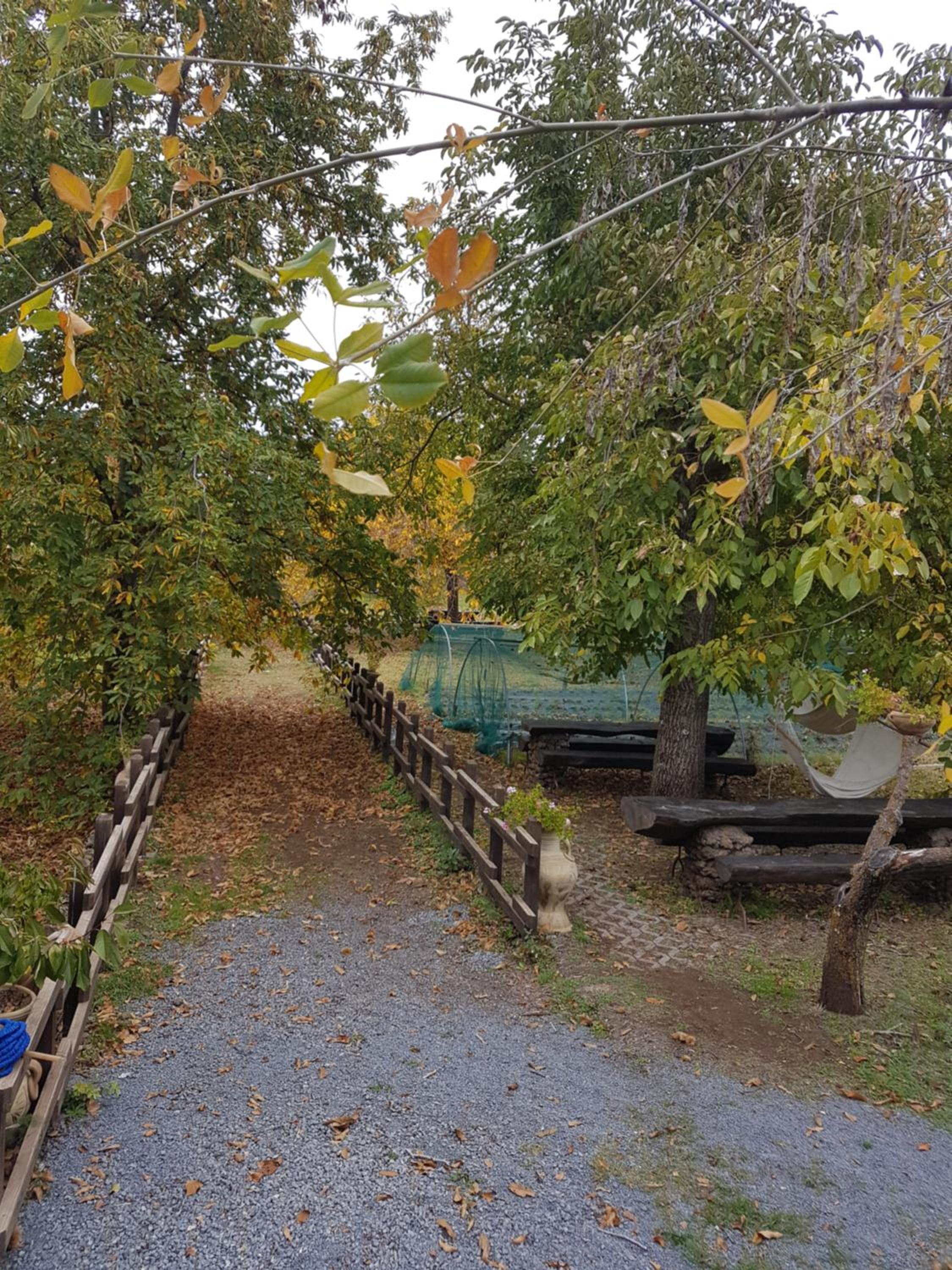 Photo 33