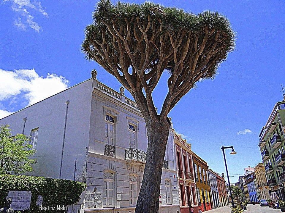 Apartamento Esperanto