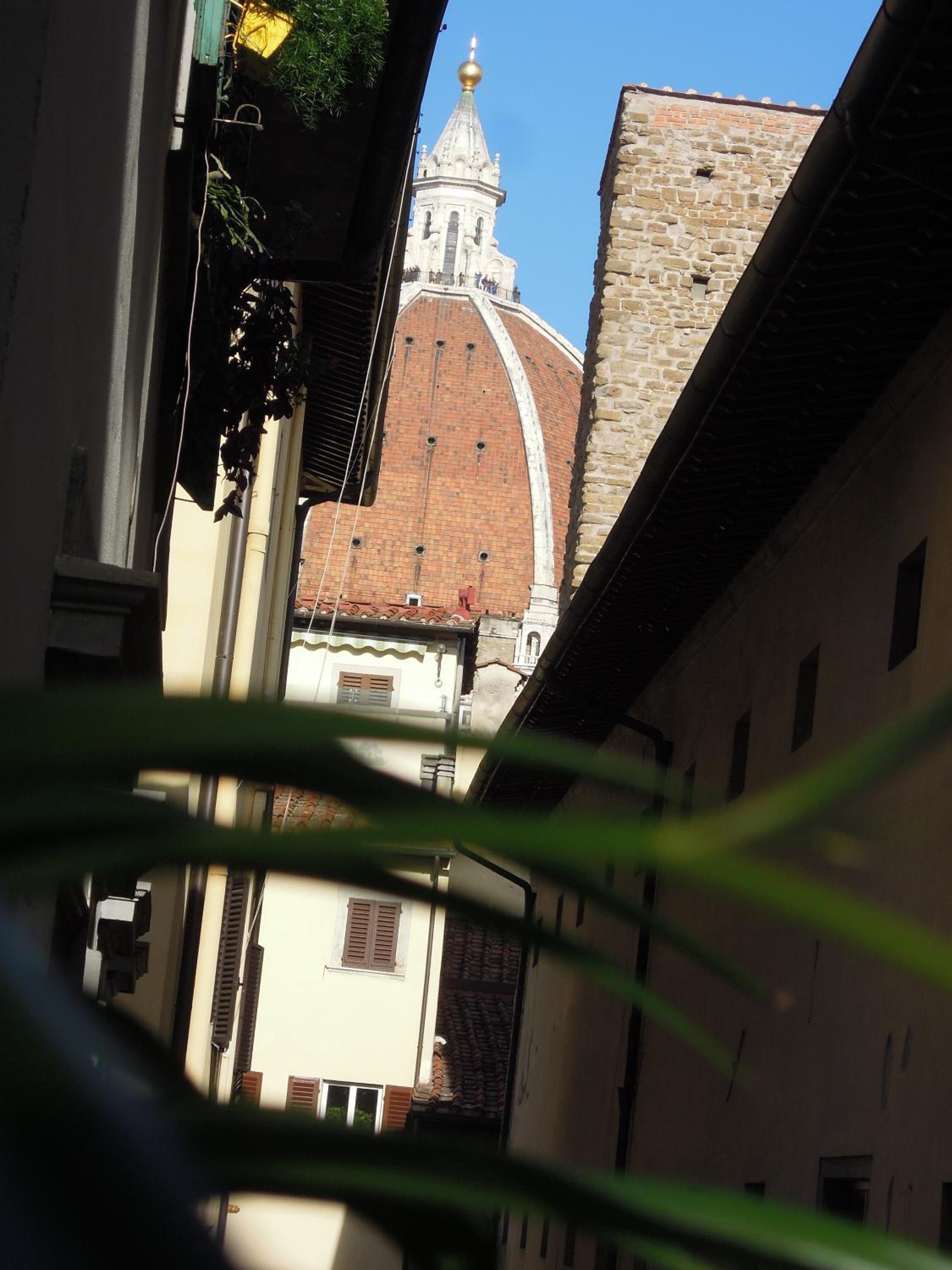 Signoria Suite 24th