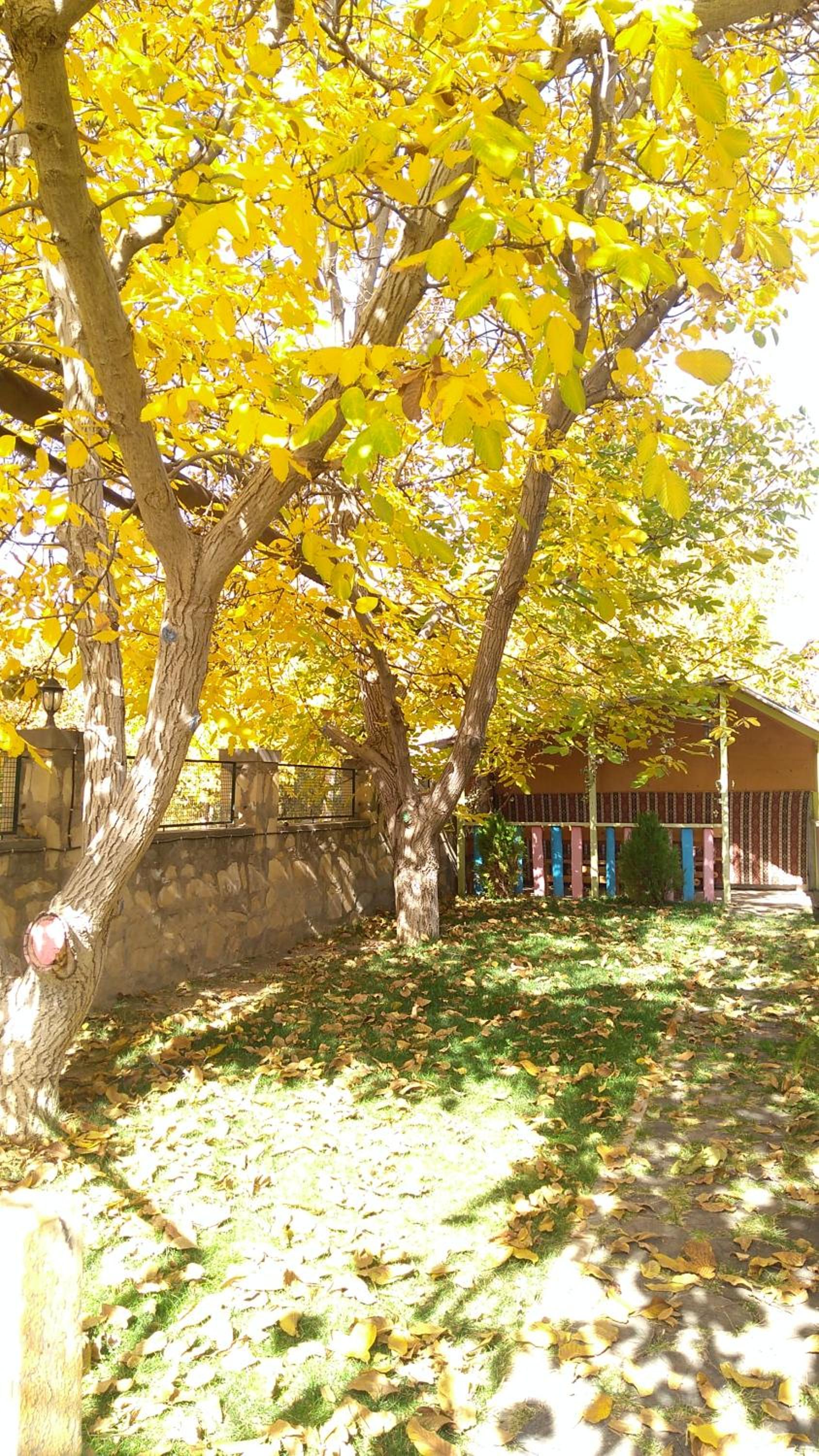 Guest house Nataly