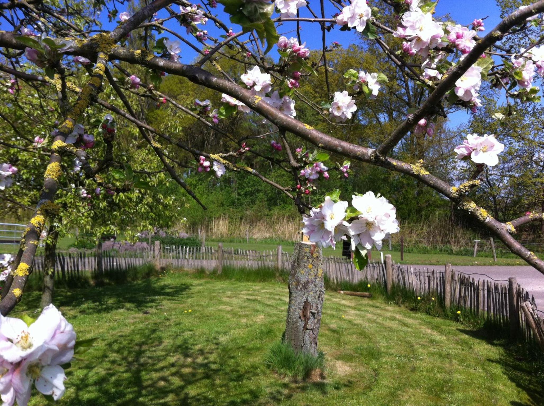 Elferink Hoeve view 2