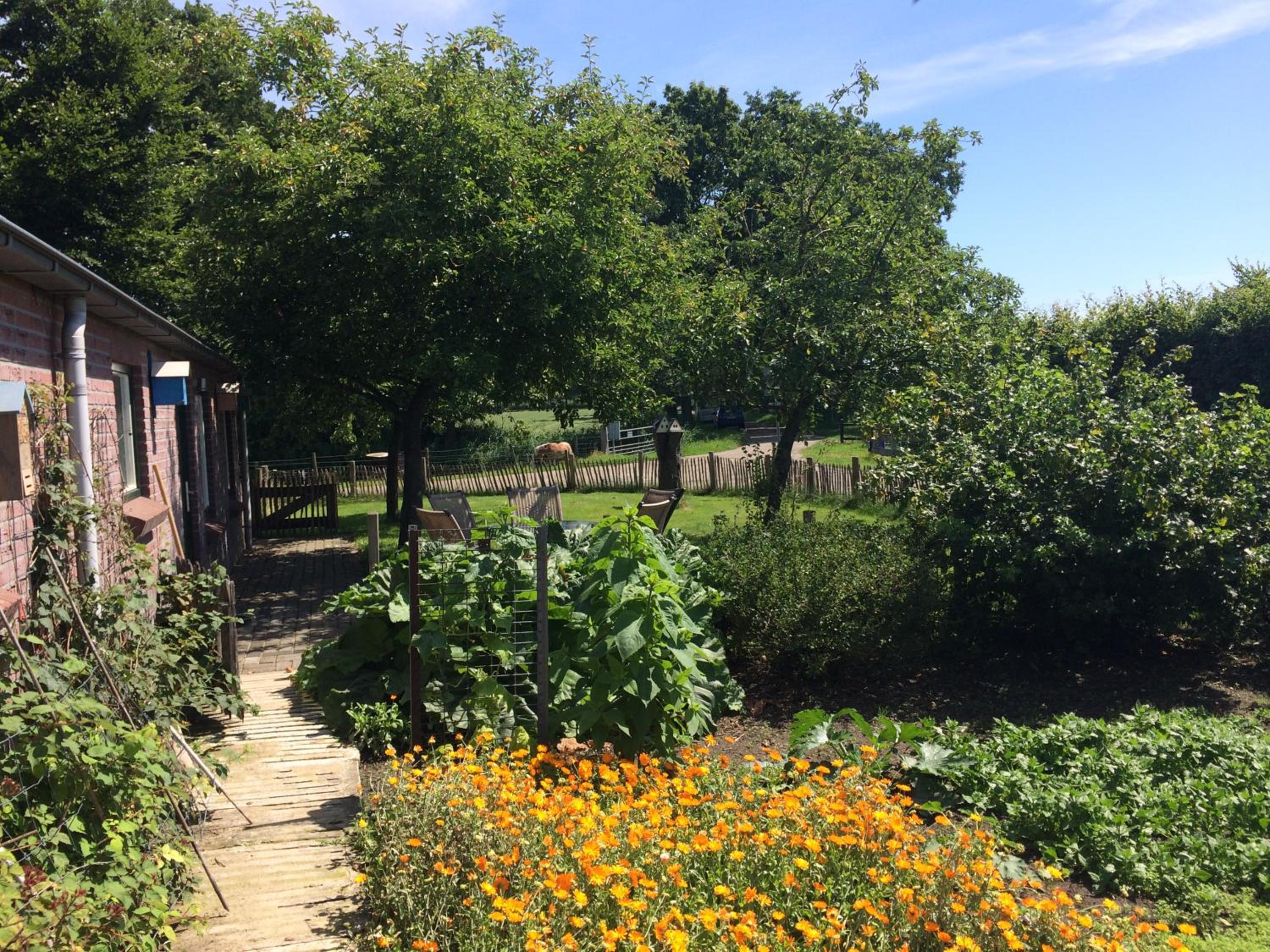 Elferink Hoeve view 5