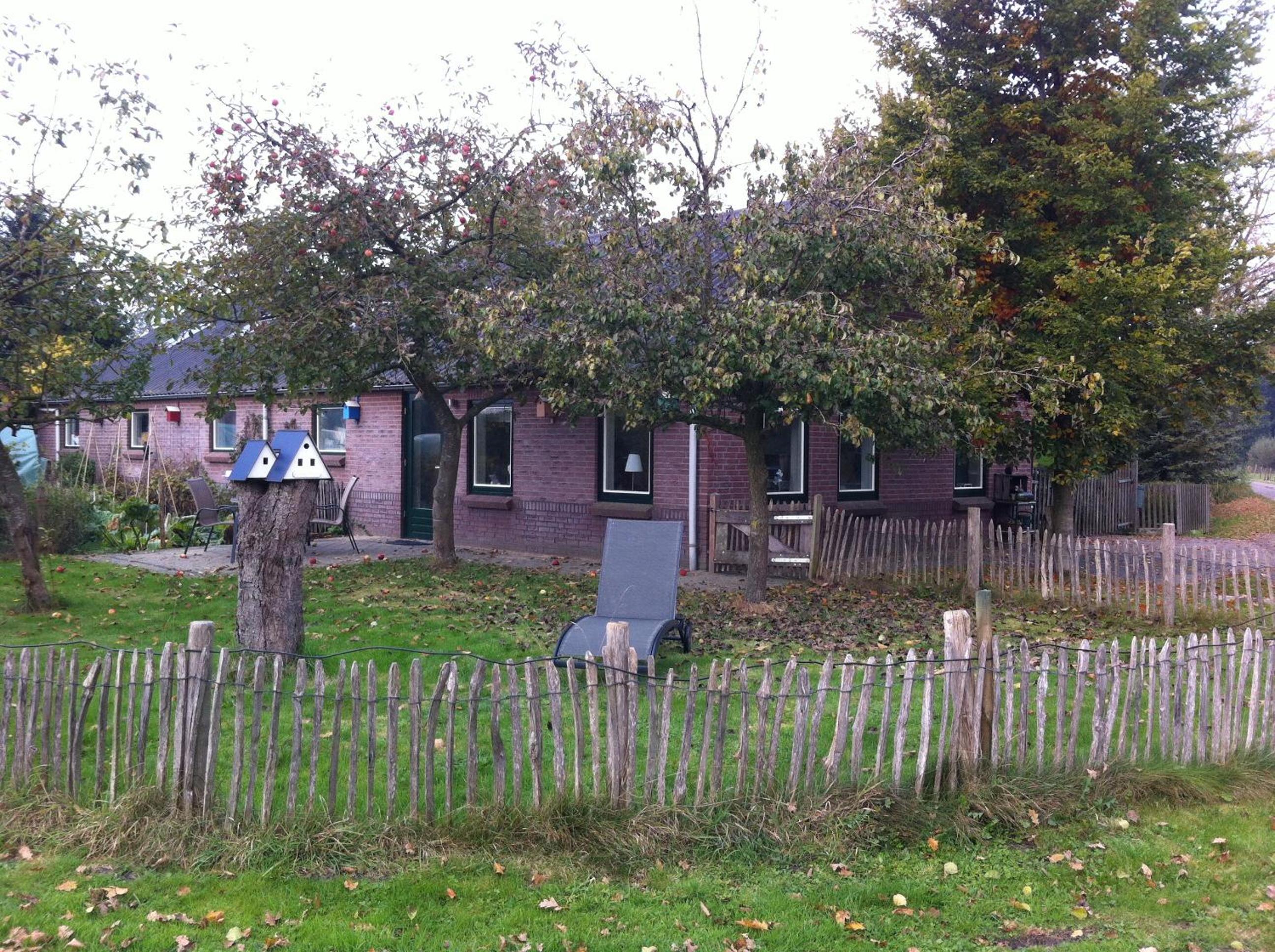 Photo 6
