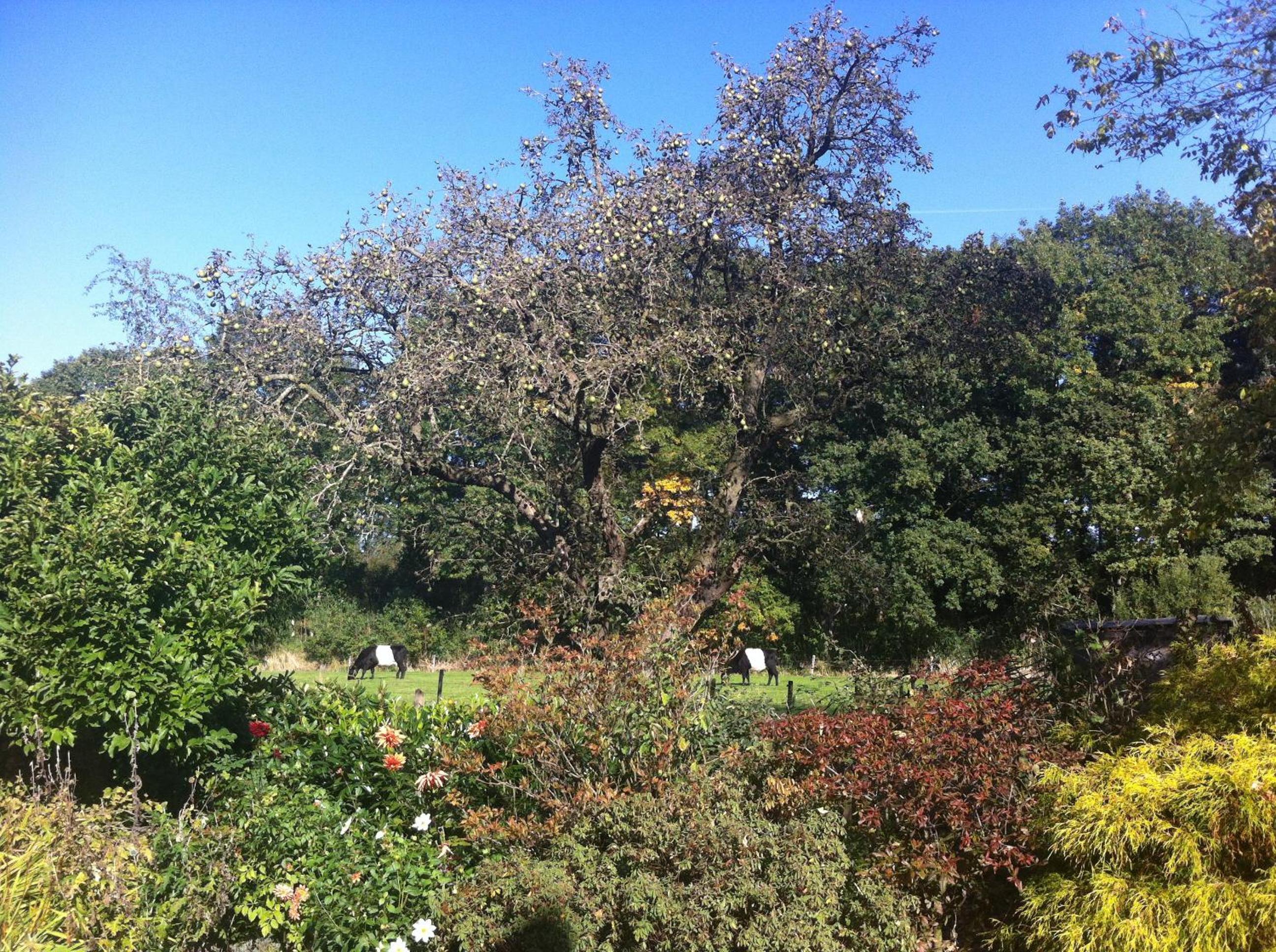 Photo 10