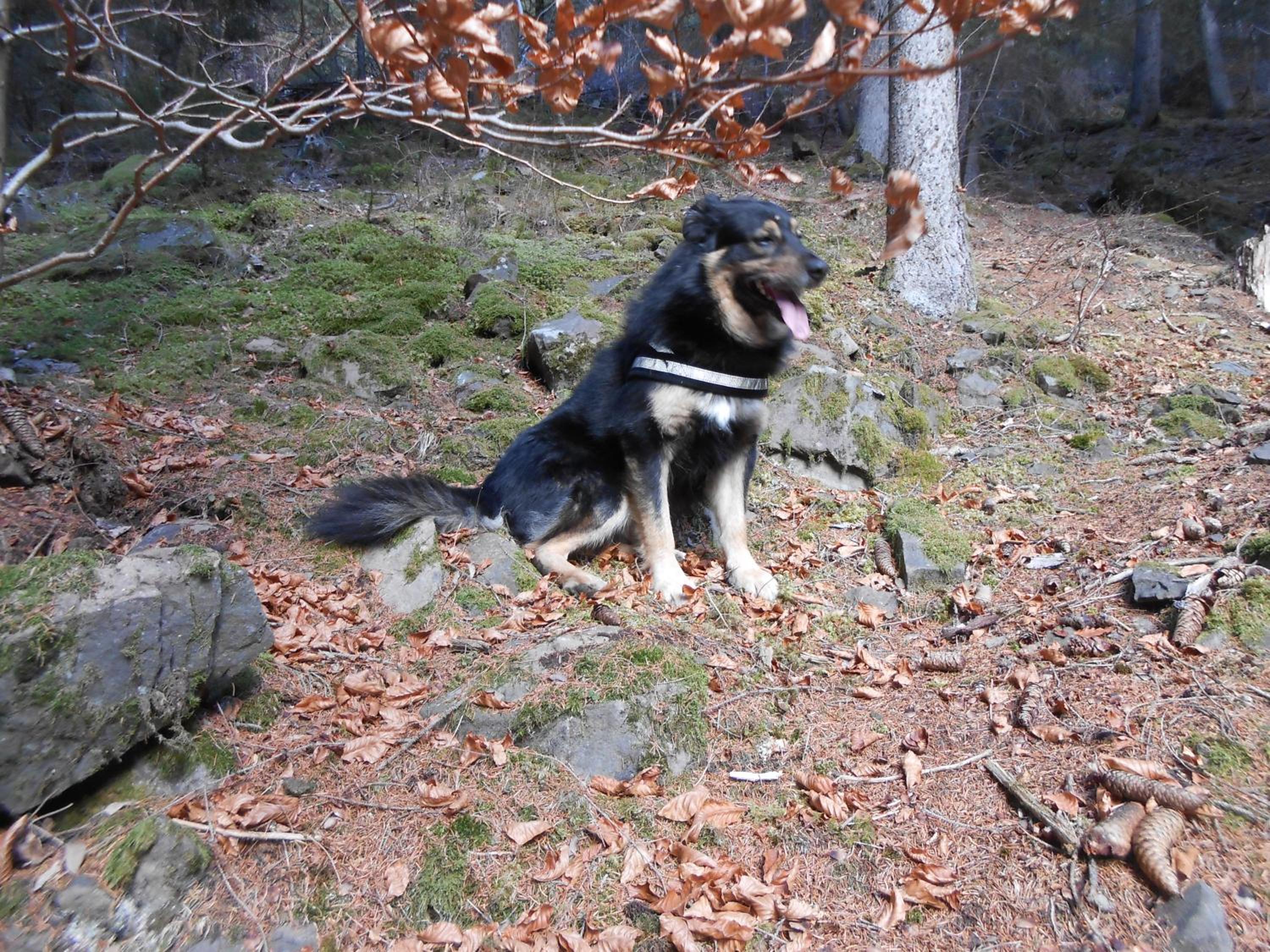 Photo 15