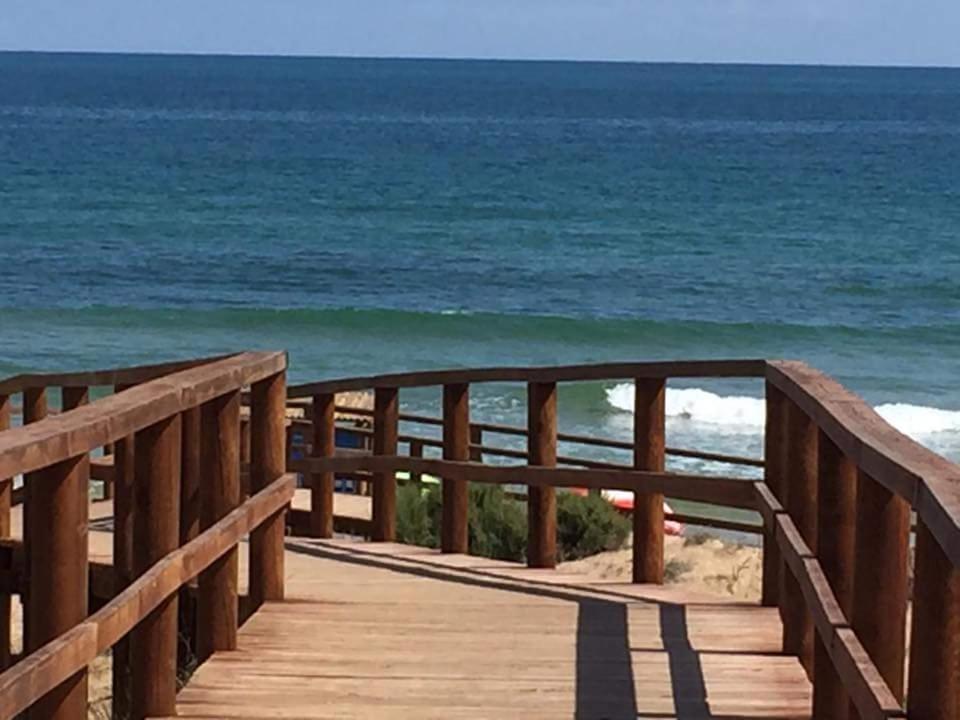 Looking For Paradise view 4