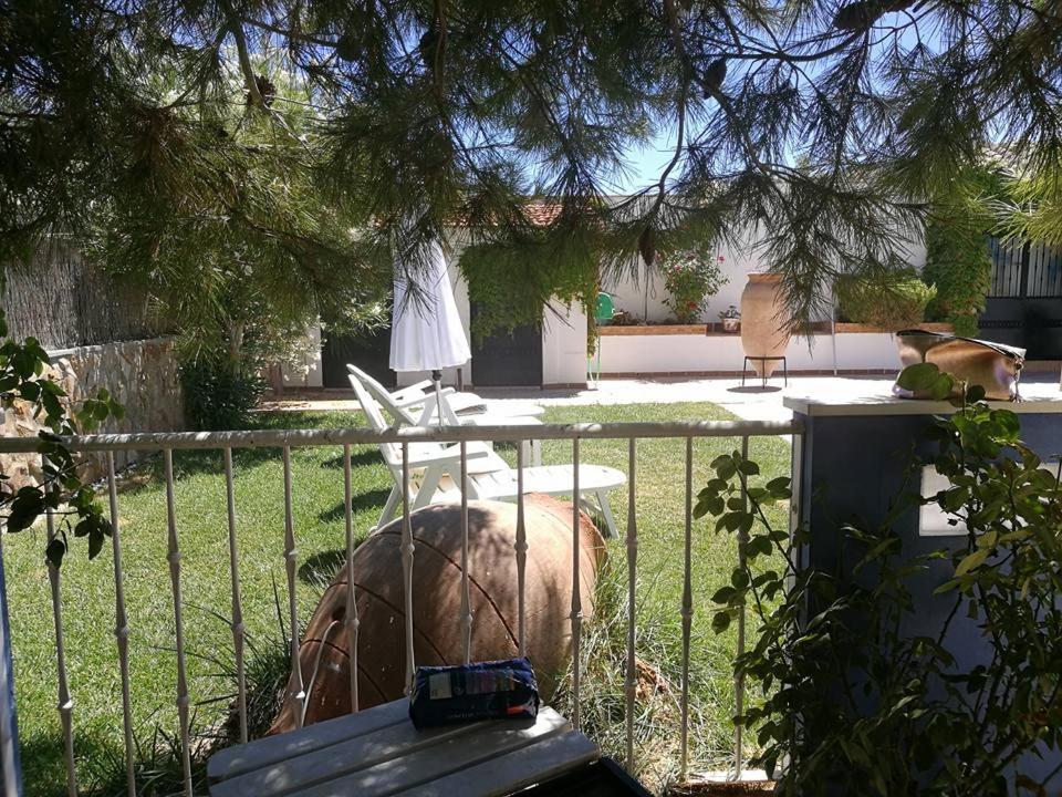 Photo 51