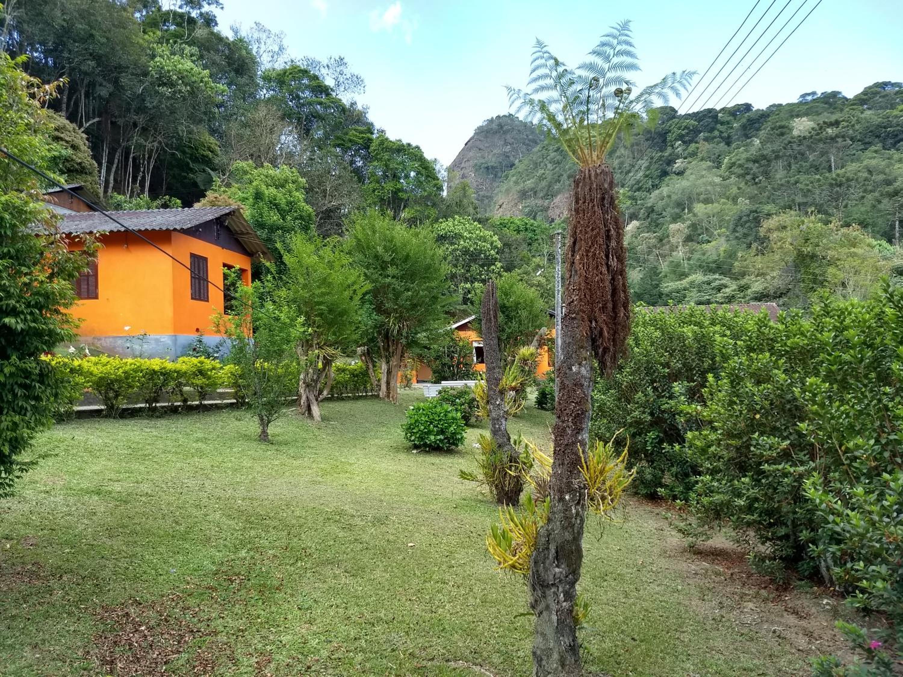 Photo 47