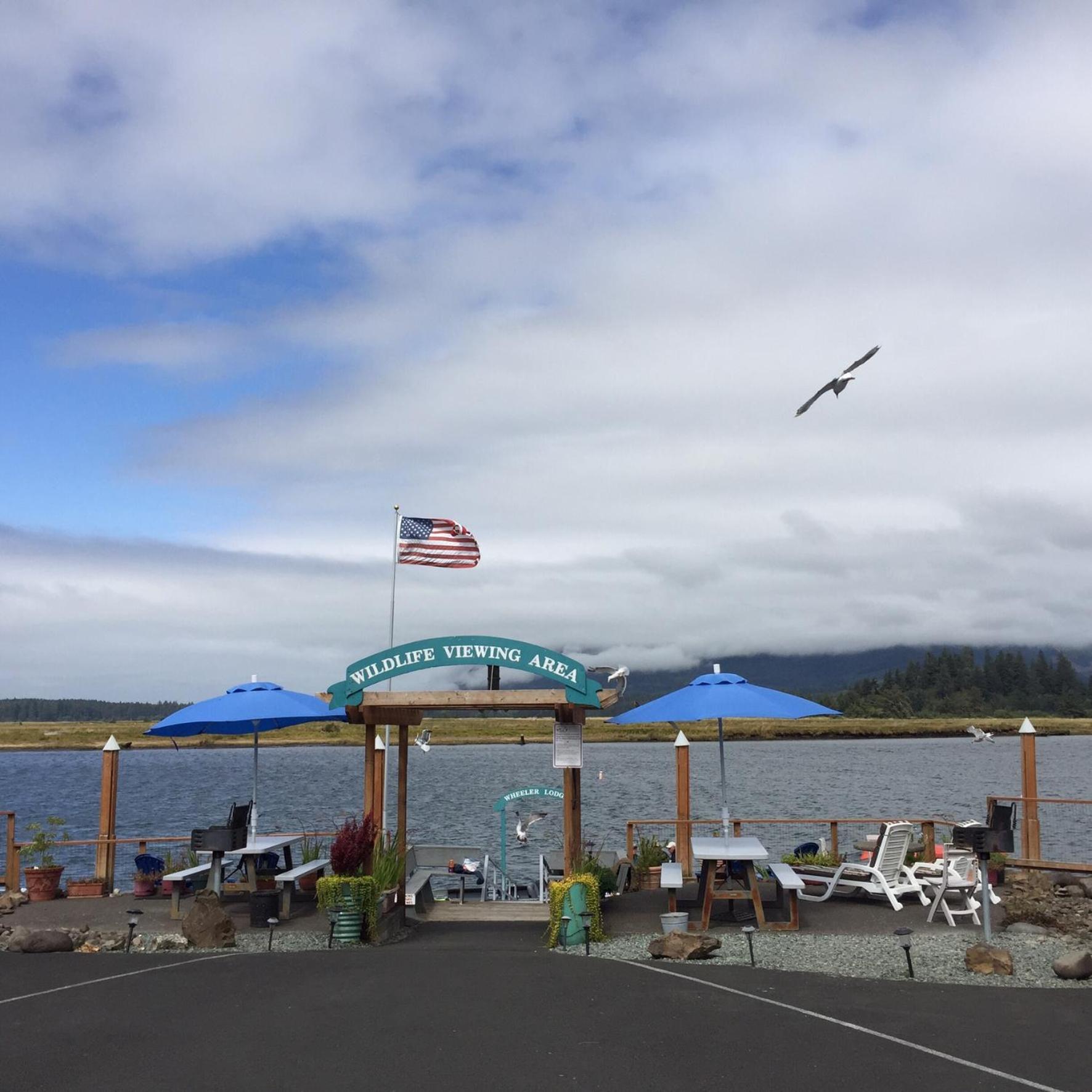 Wheeler on the Bay Lodge and Marina