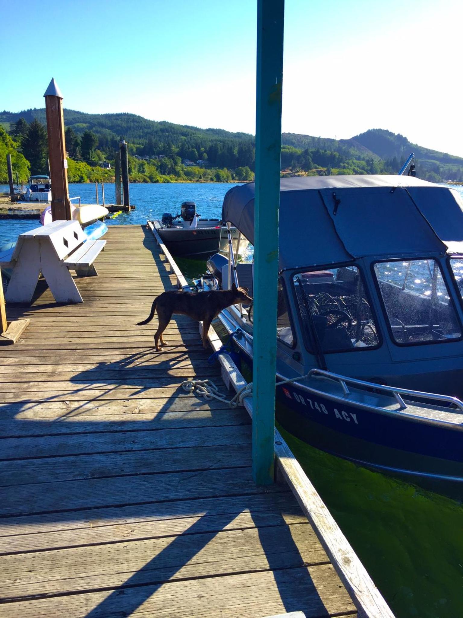 Wheeler on the Bay Lodge and Marina