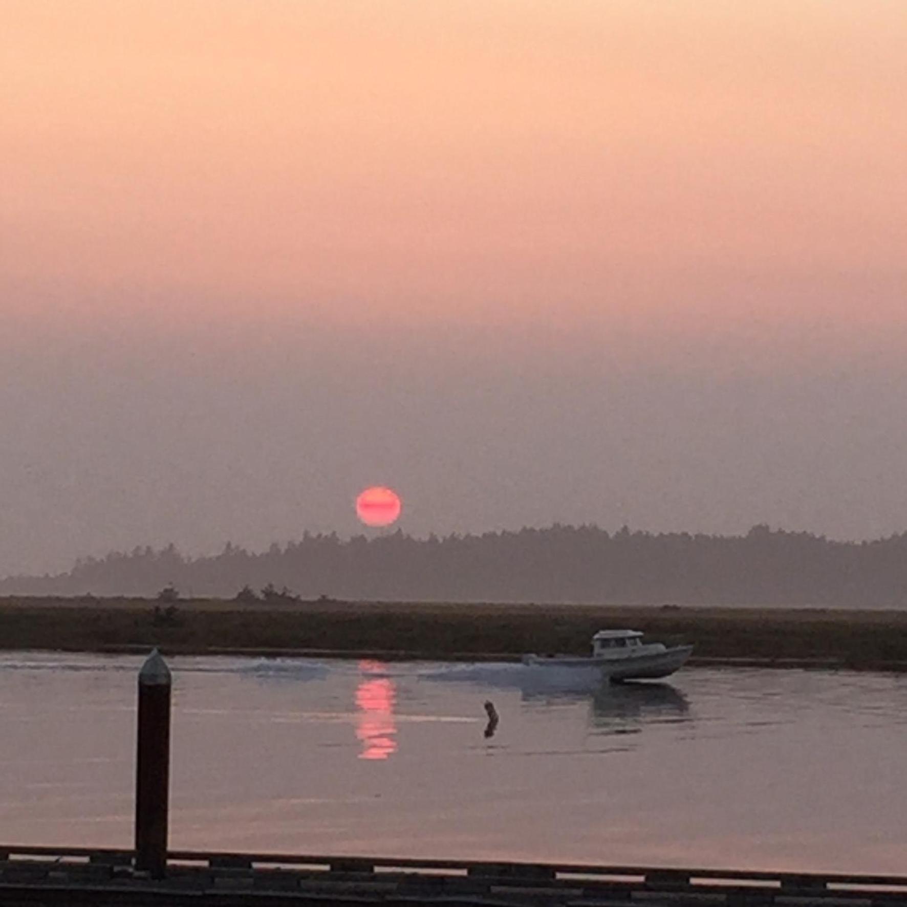 Wheeler on the Bay Lodge and Marina
