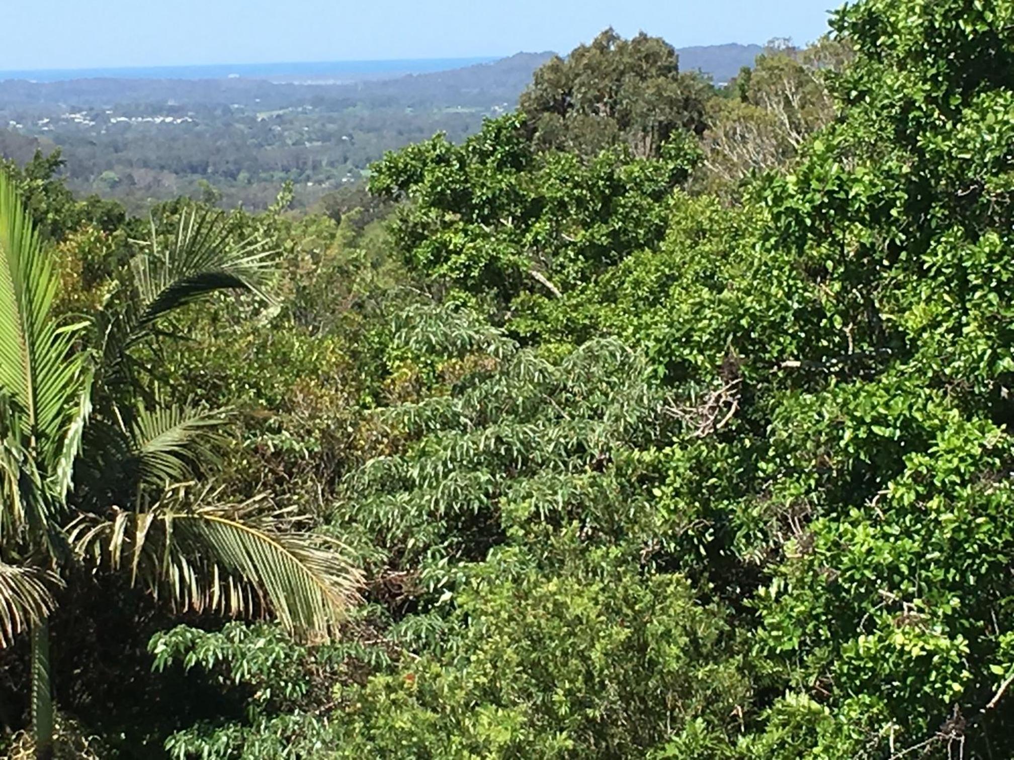 The Country House at Hunchy Montville