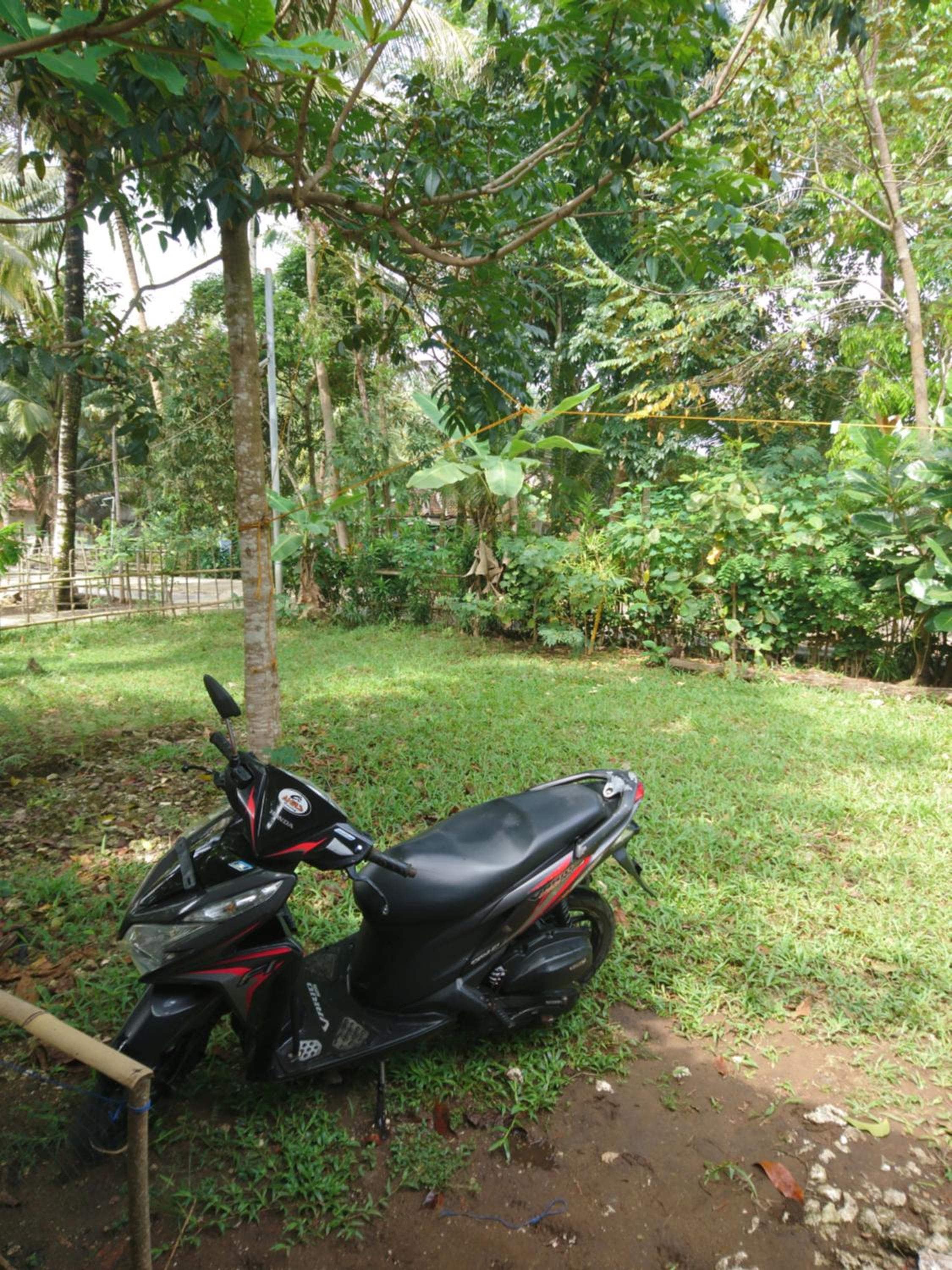 Photo 18