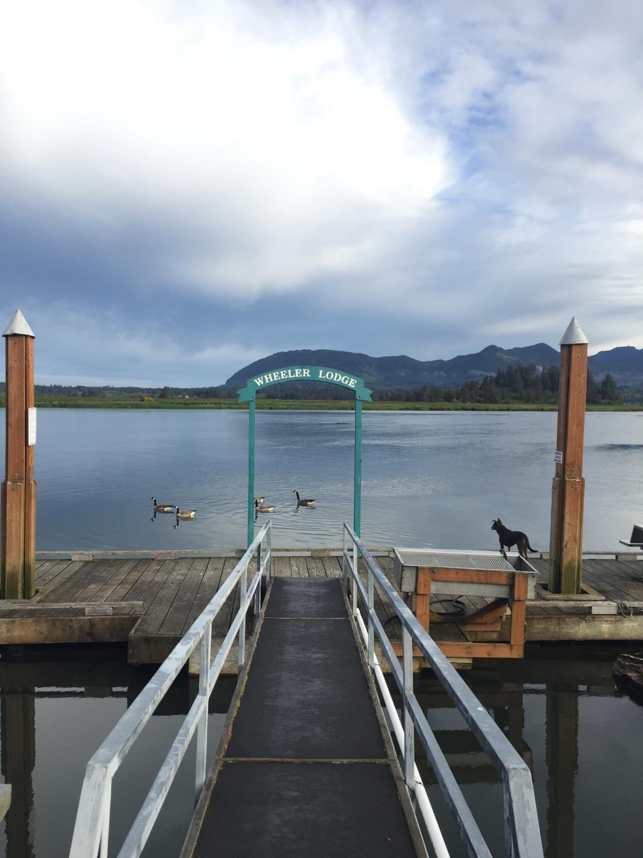 Wheeler on the Bay Lodge and Marina
