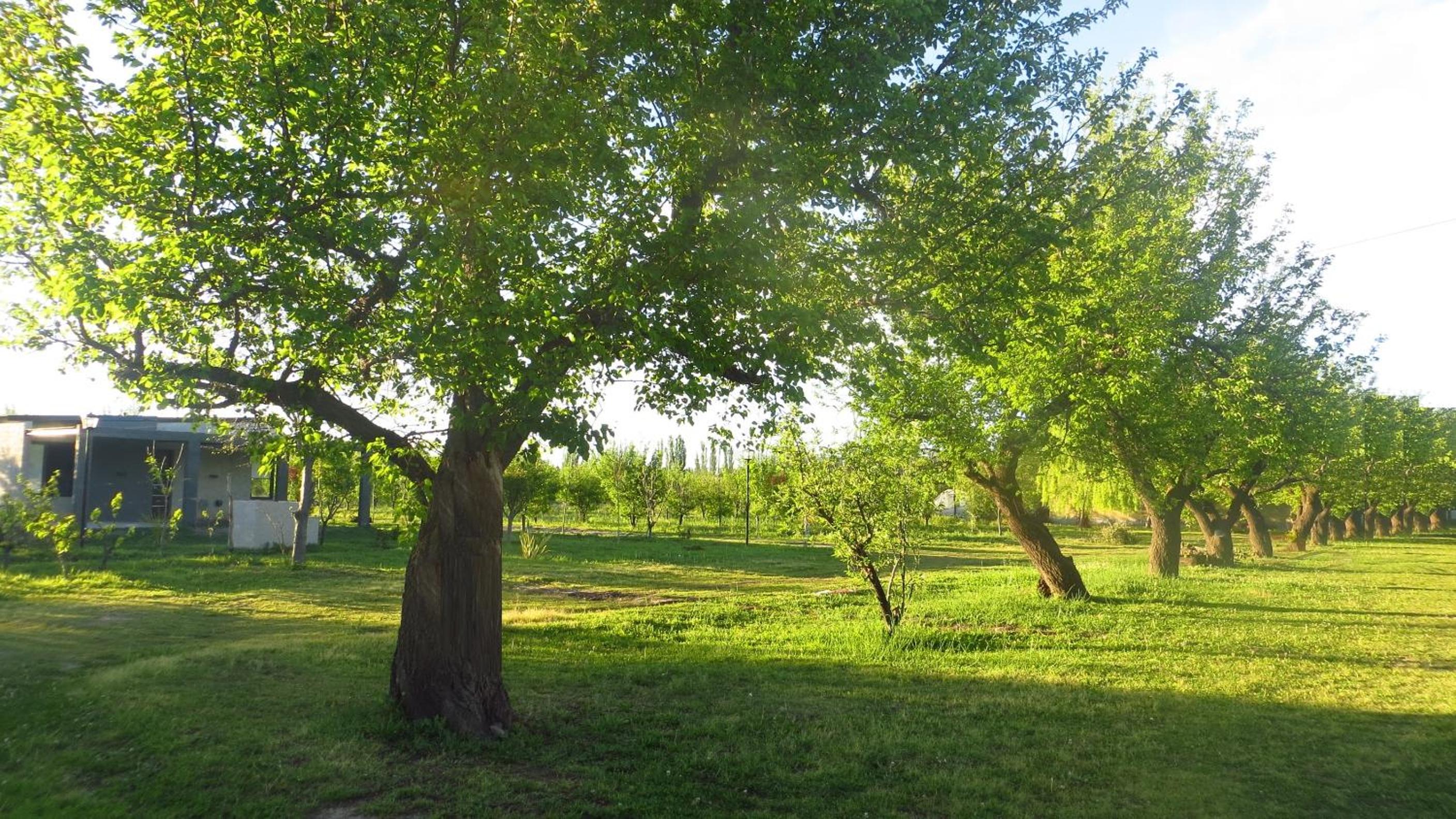 Altos del Atuel