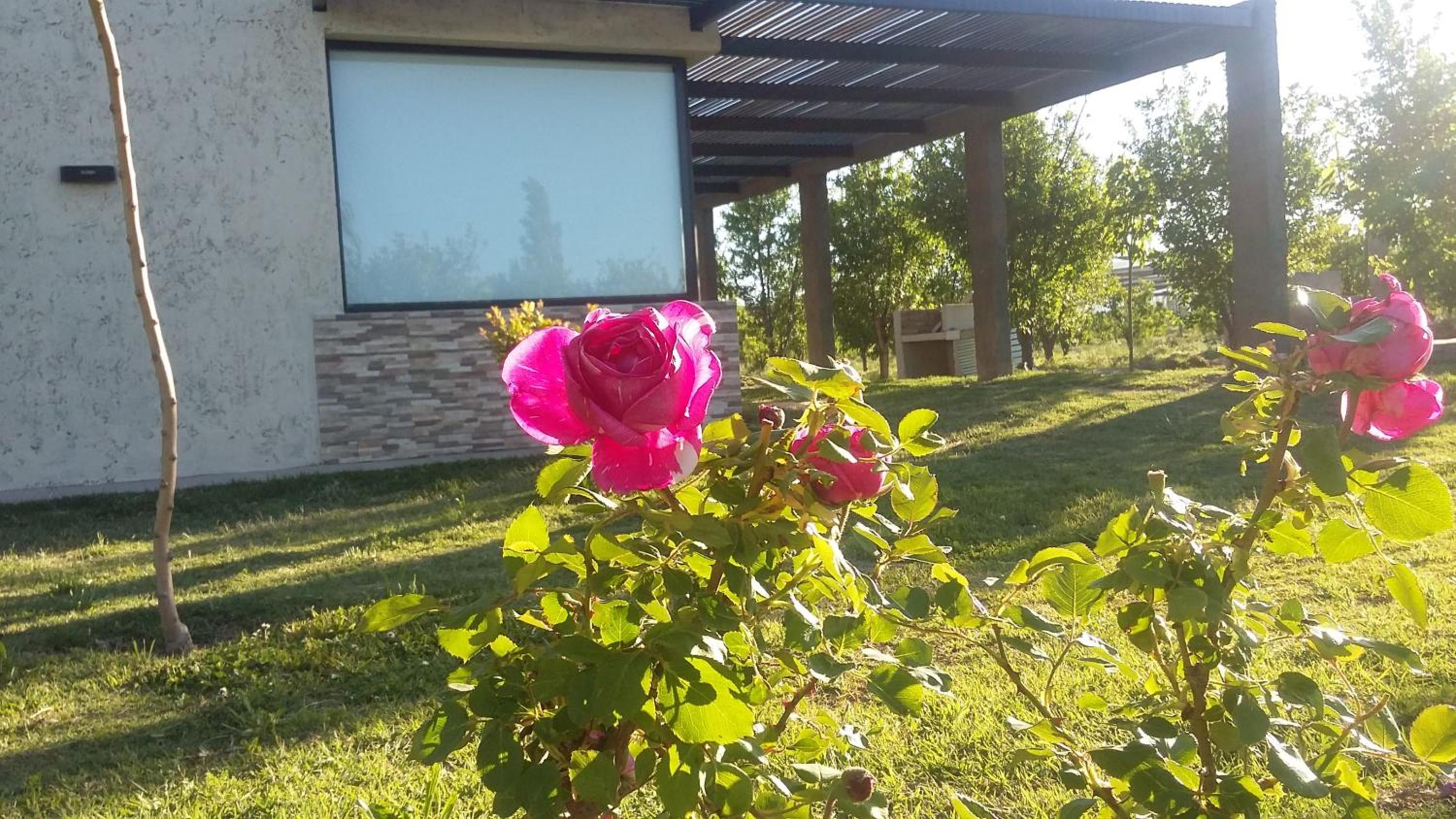 Altos del Atuel