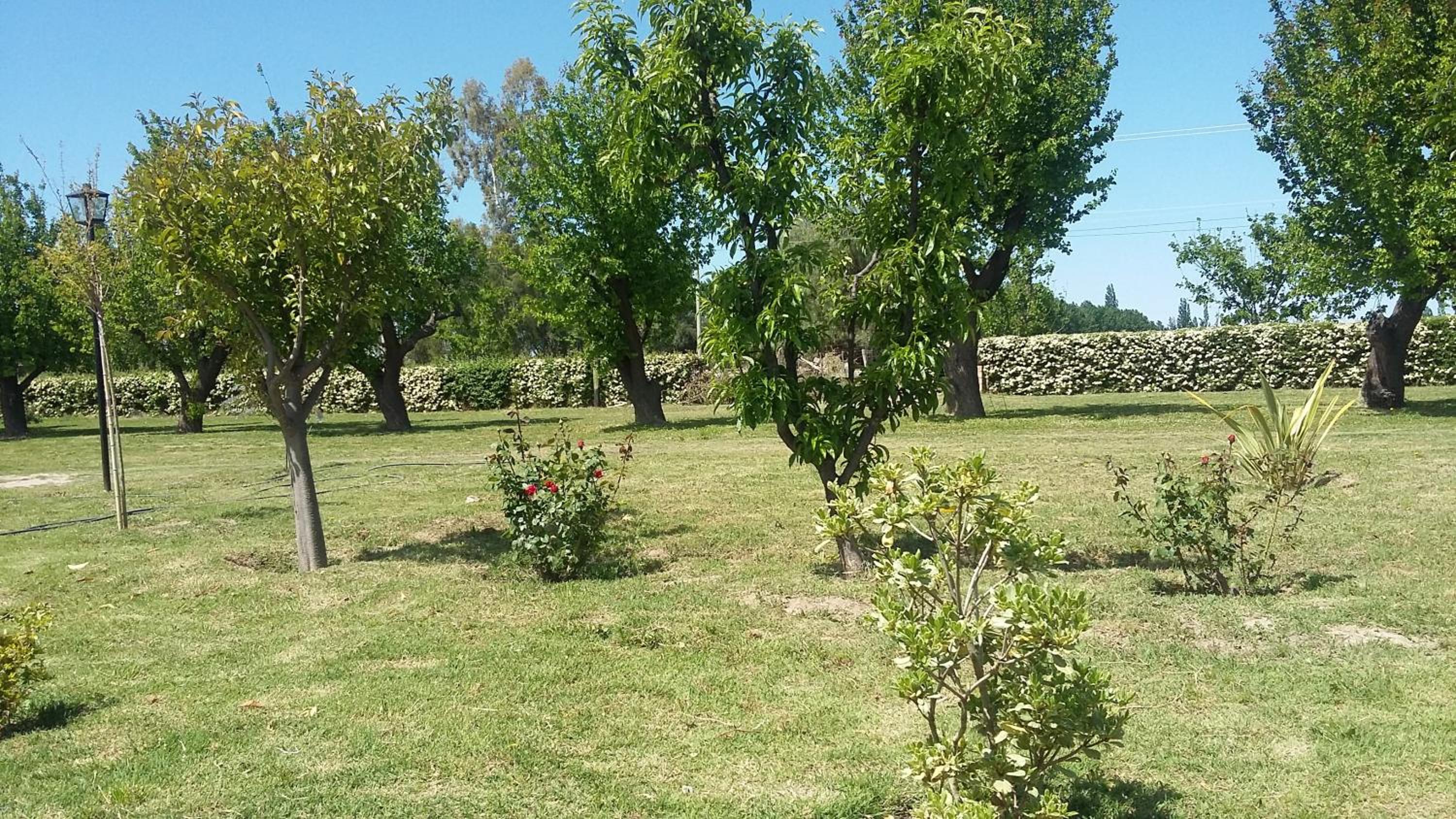 Altos del Atuel