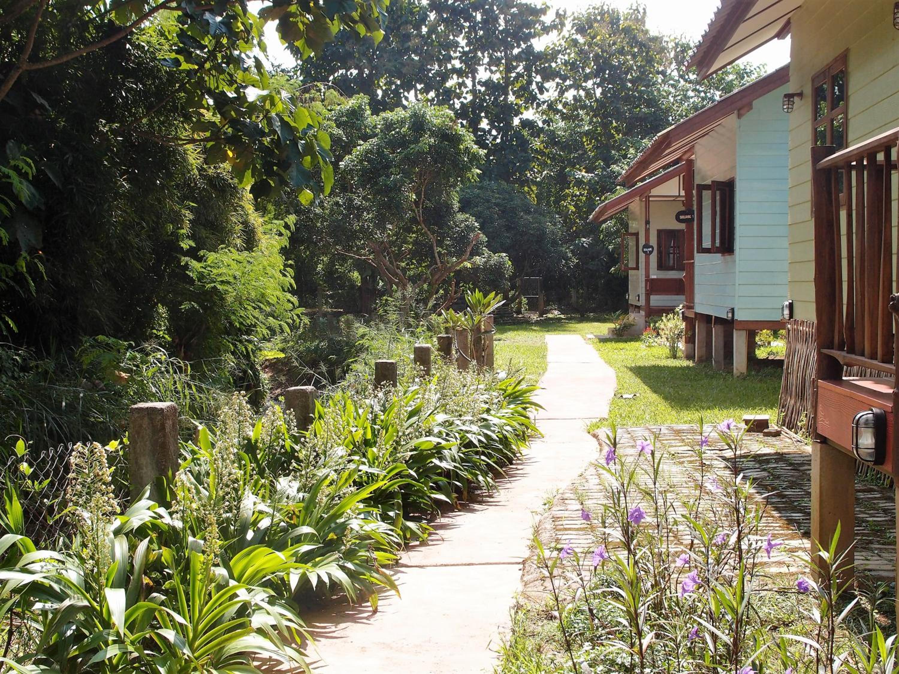 At Home Chiang Dao, Pooch Lovers