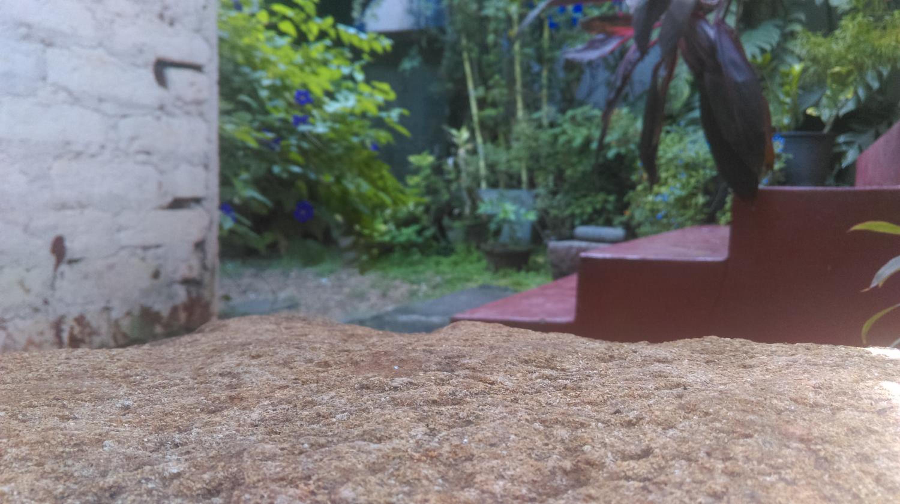 Aluthgedara Guest House