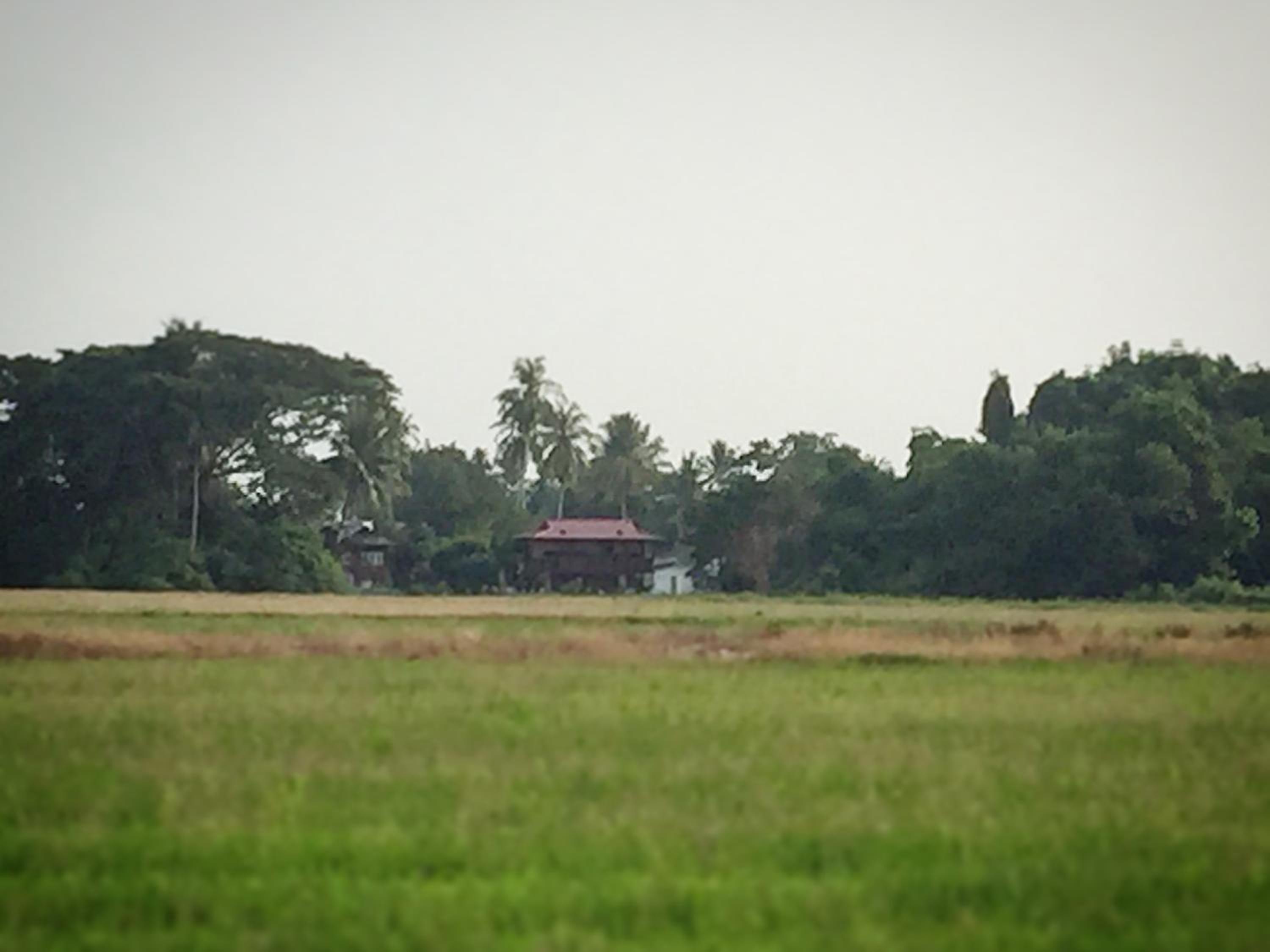 Photo 47